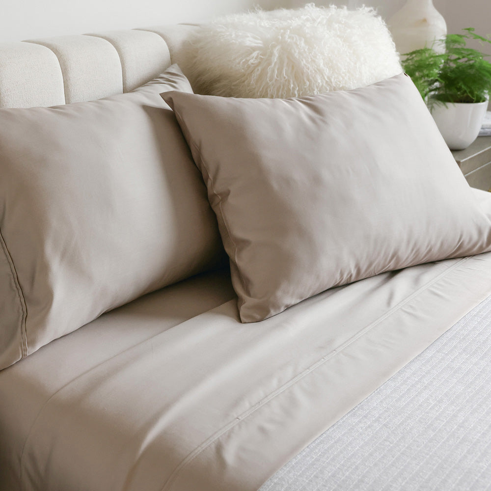 Botanical Dream 1000 Thread Count Premium Cotton Pillowcases - Birch Pattern | Ultra Soft Bedding for Luxury Hotels & Home Decor