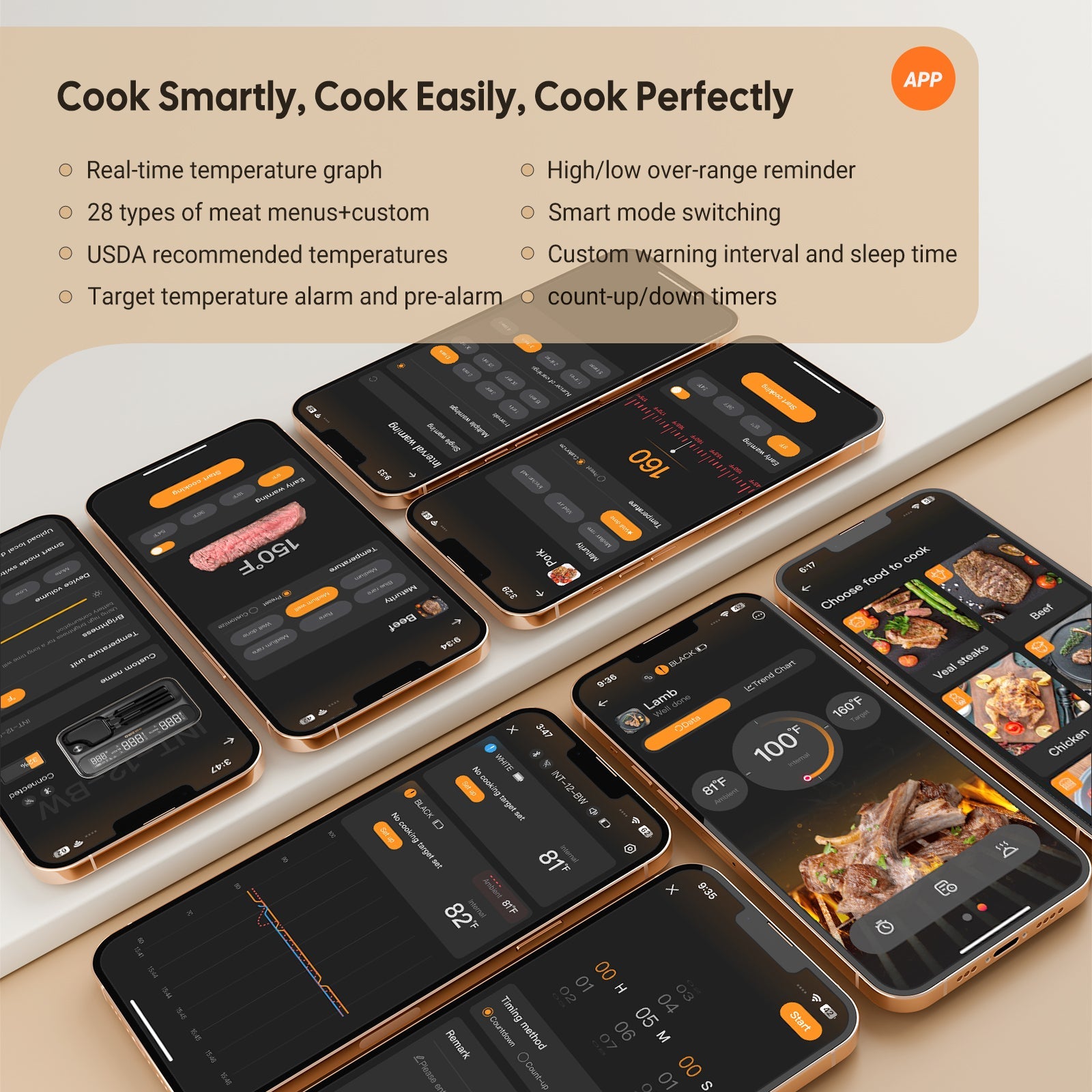 Wireless WiFi & Bluetooth Smart Meat Thermometer with Dual Probe - INT 12 BW - Perfect for Grilling, Smoking, and BBQ Cooking