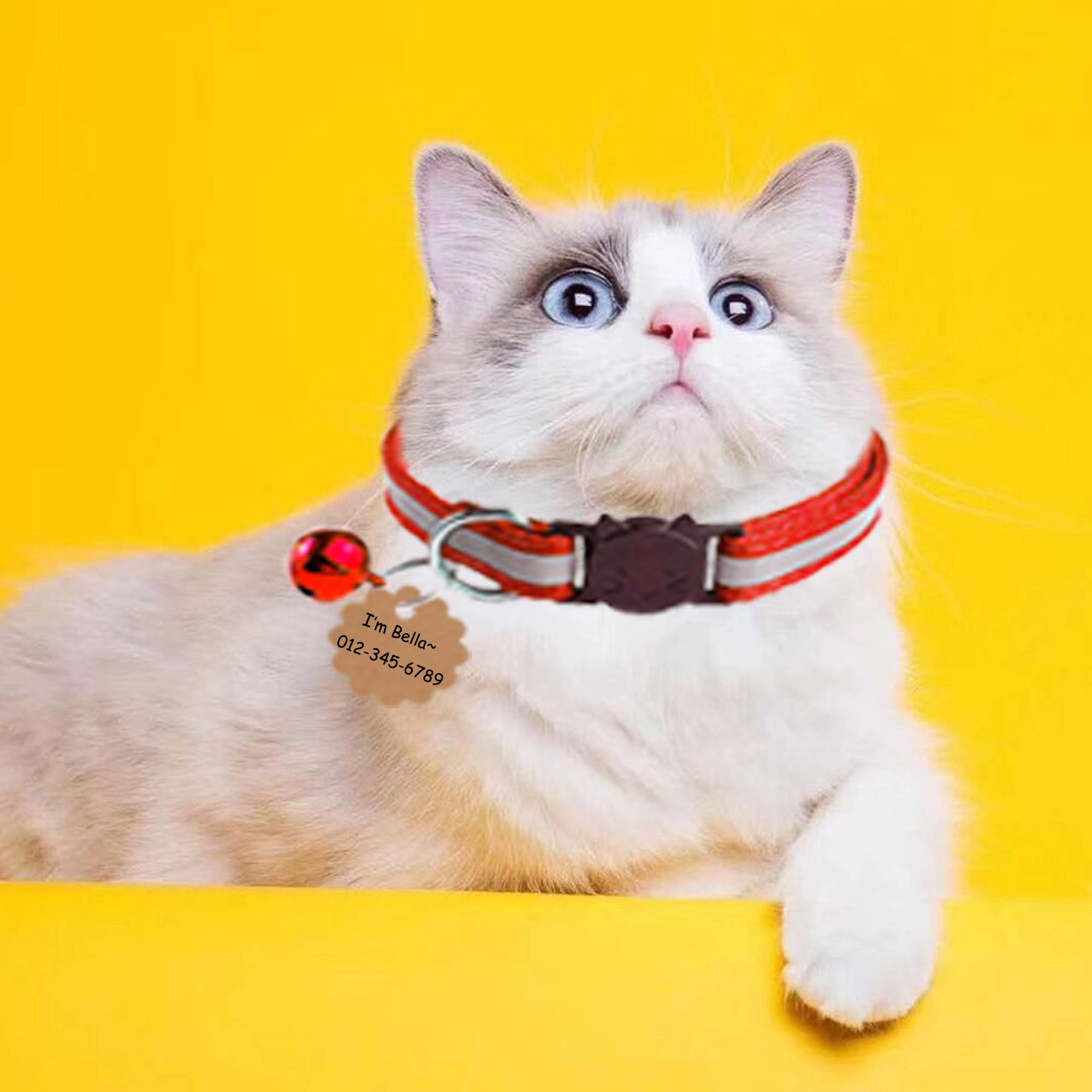 Breakaway Cat Collars with Bell - Reflective Nylon Safety Collar for Cats (4 Colors) - Perfect for Nighttime Visibility & Playtime Safety