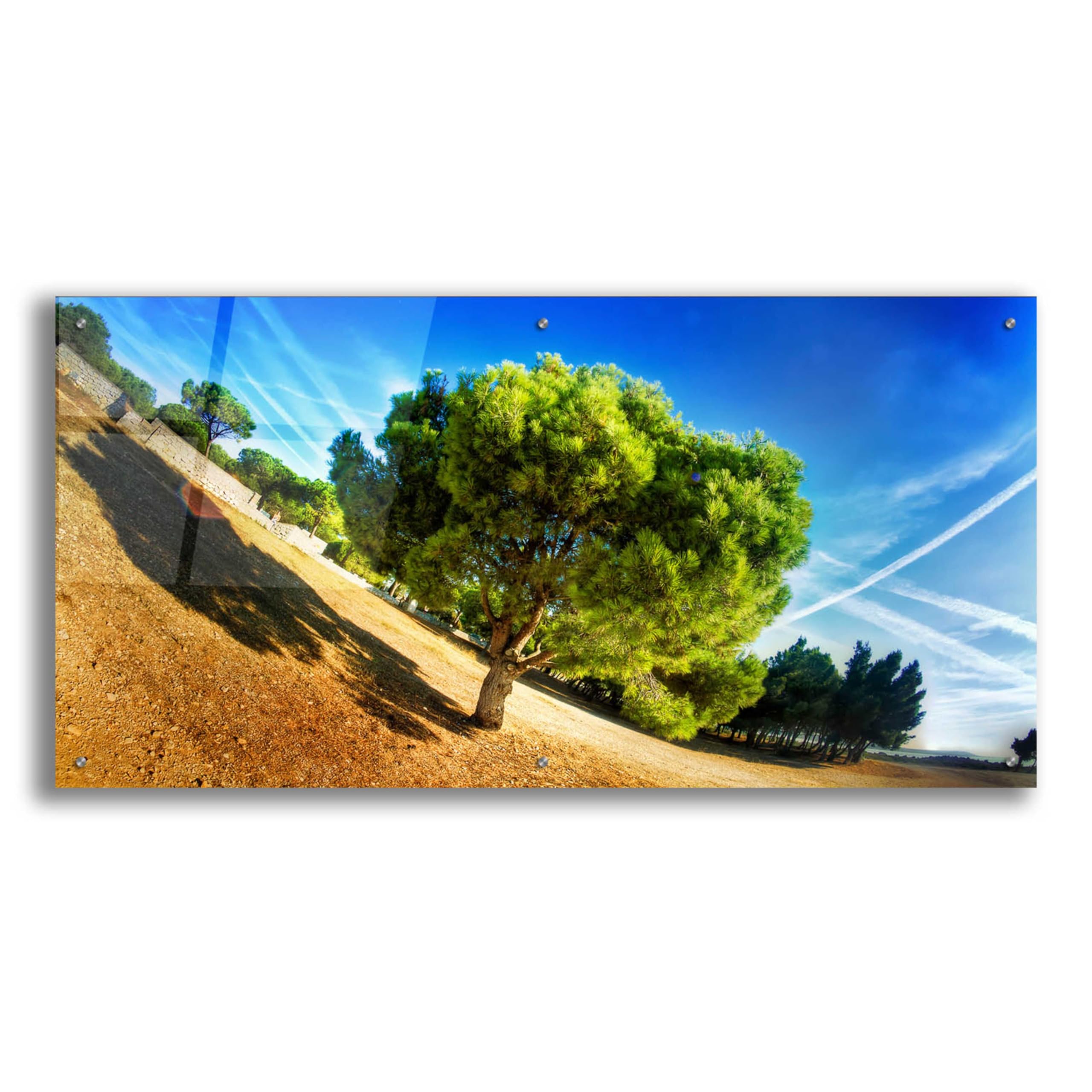 Epic Art 'Summer Tree' by Sebastien Lory - 48x24 Inch Acrylic Glass Wall Painting - Modern Home Decor for Living Room, Bedroom & Office