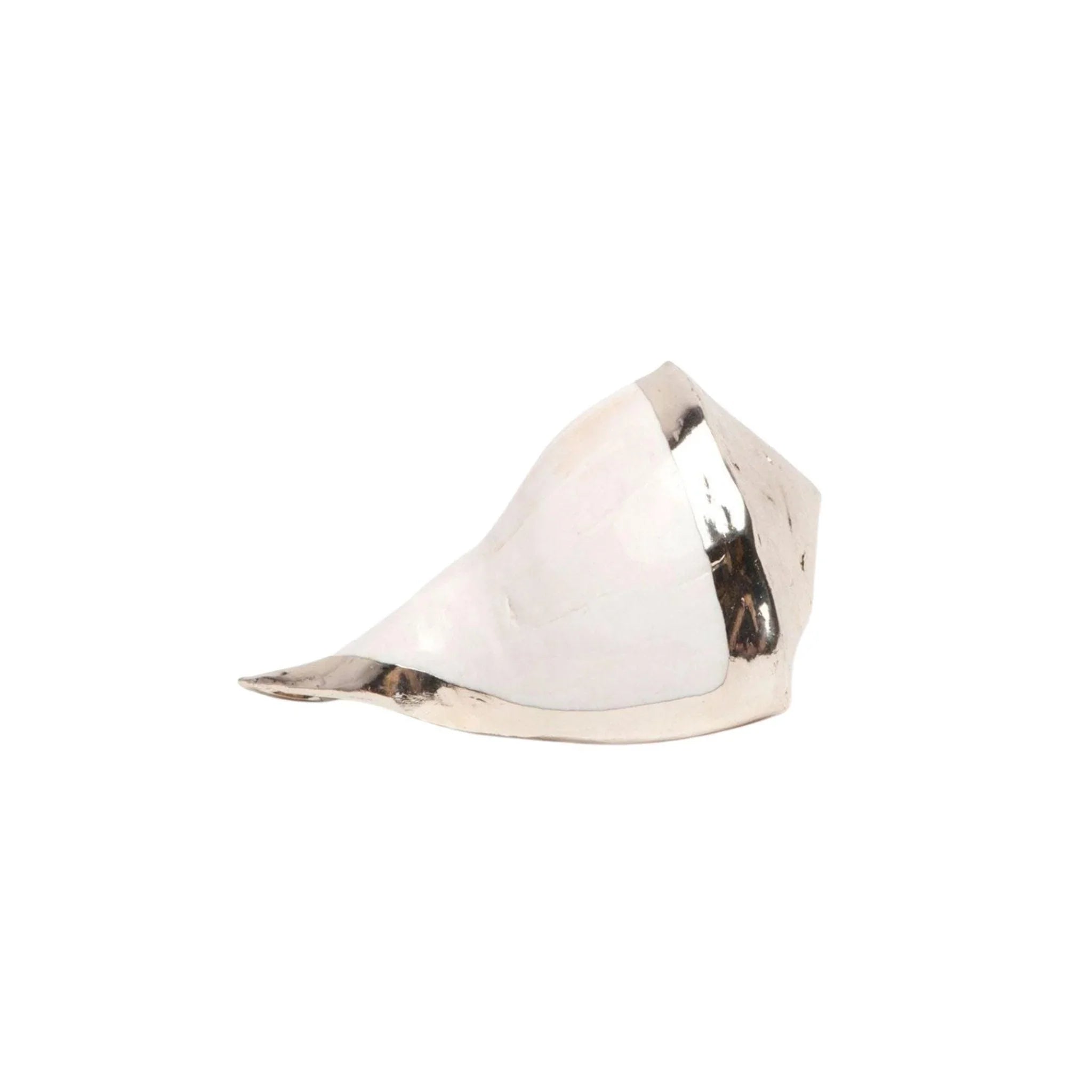 Decorative Silver Whelk Shells for Home Decor | Natural Seashells for Beach Themed Parties, Wedding Centerpieces & Coastal Interior Design
