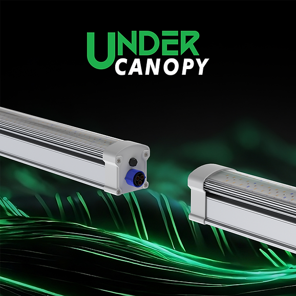 160W Full Spectrum LED Grow Light for Indoor Plants - High Efficiency Under Canopy Lighting for Hydroponics, Greenhouse & Home Gardening