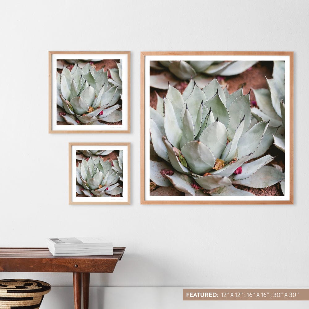 Premium Fine Art Prints for Home & Office Decor - Jardin Collection | Wall Art for Living Room, Bedroom & Gallery Displays