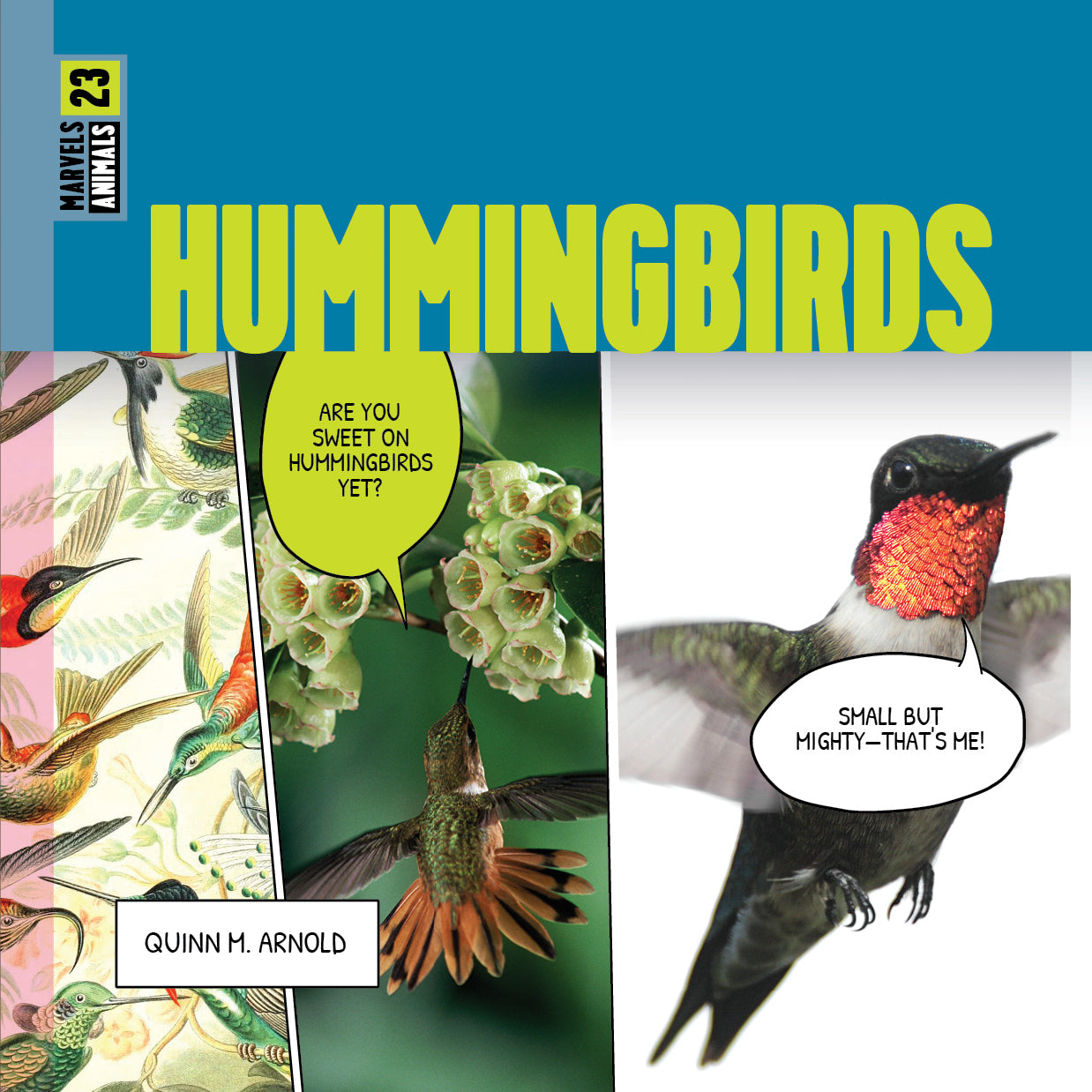 Hummingbirds Marvels - Stunning Hummingbird Gifts & Decor for Nature Lovers | Perfect for Home Decor, Garden Ornaments & Bird Watching Enthusiasts