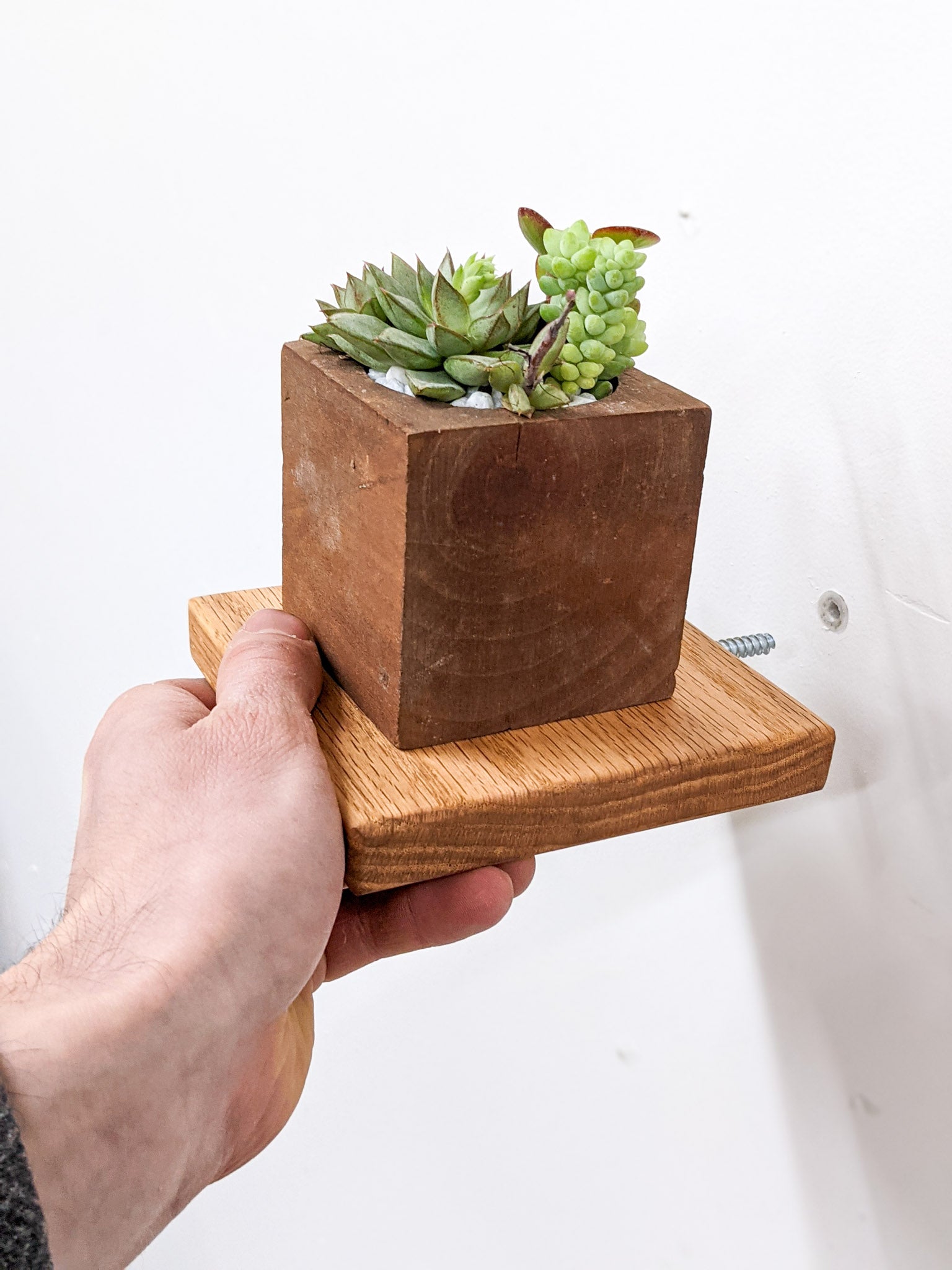 Oak Small Square Display Shelf - Perfect for Home Decor, Retail Stores, and Office Organization
