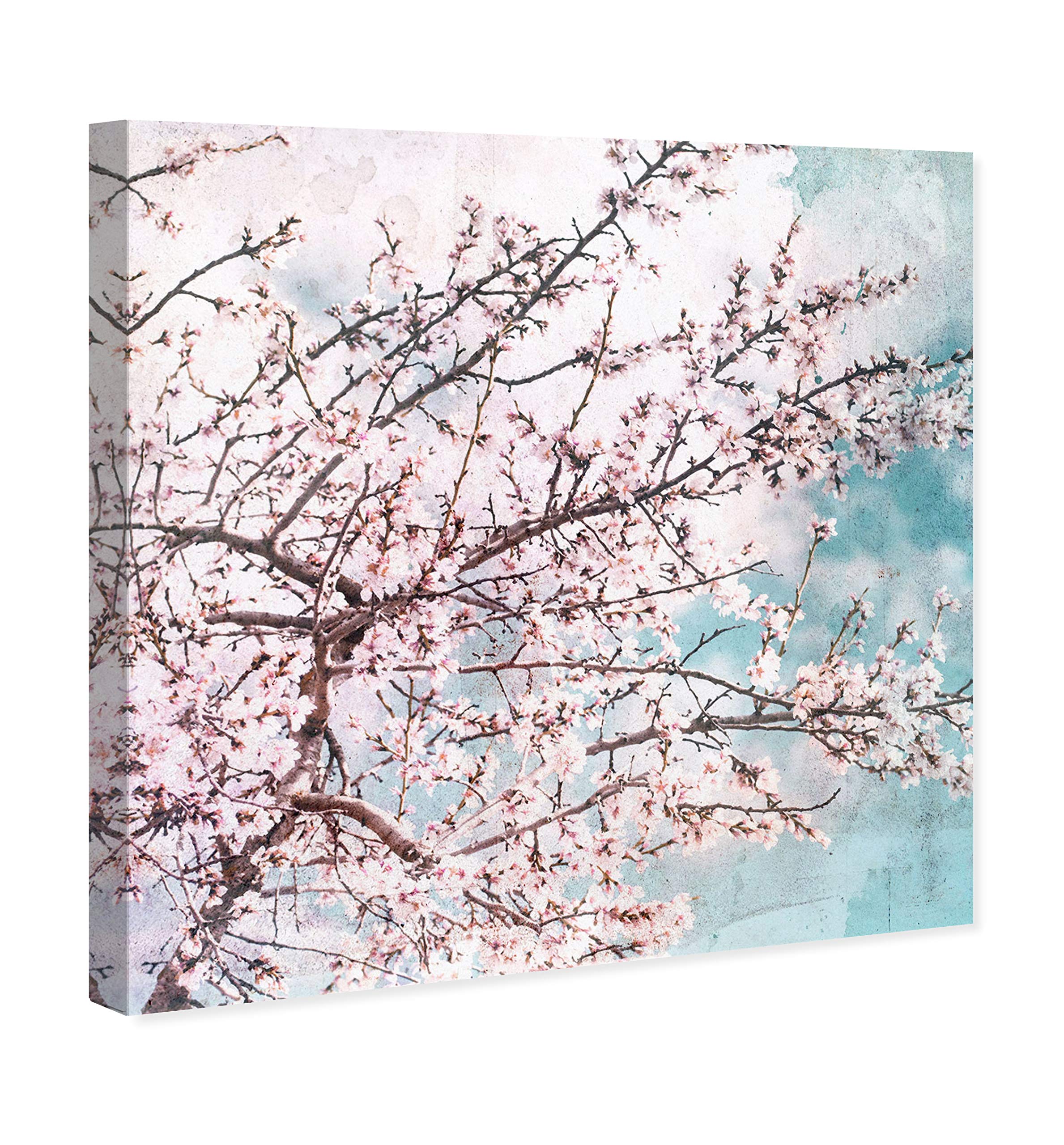 Oliver Gal Artist Co. 'Blossoming in The Air' Pink & Blue Botanical Wall Art Canvas Print - 20x20 Inches Modern Home Decor for Living Room, Bedroom & Office
