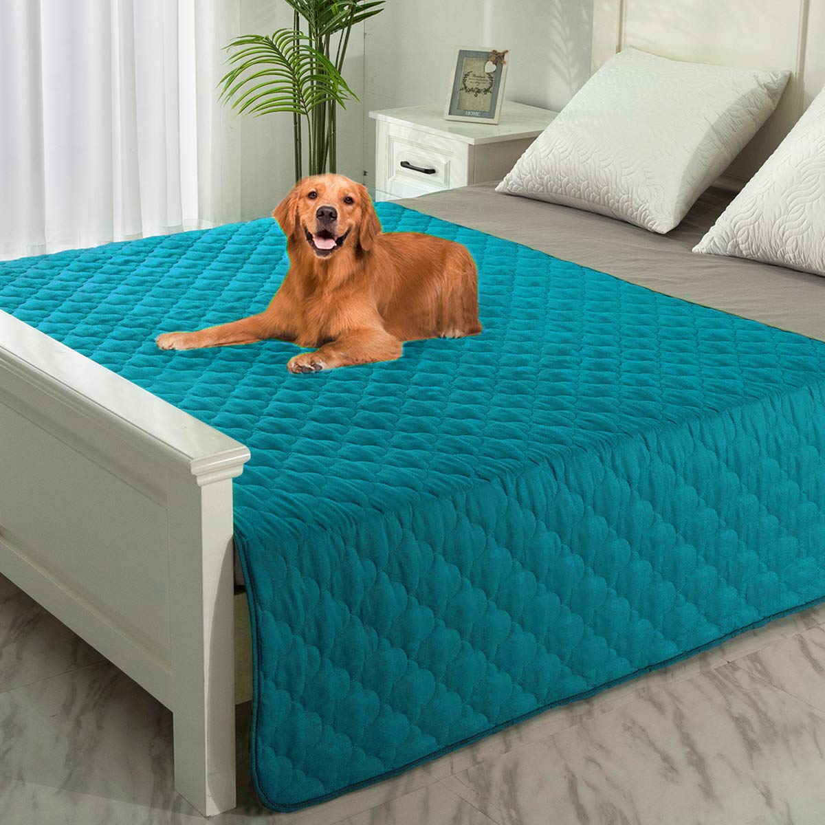 SPXTEX Washable Dog Bed Cover - Super Soft Pet Blanket for Couch Protection, 68x82 Inch Aqua Blue - Waterproof Puppy Training Pads & Comfortable Dog Rug for Indoor Use, Perfect for Pets, Sofas and Floor Protection