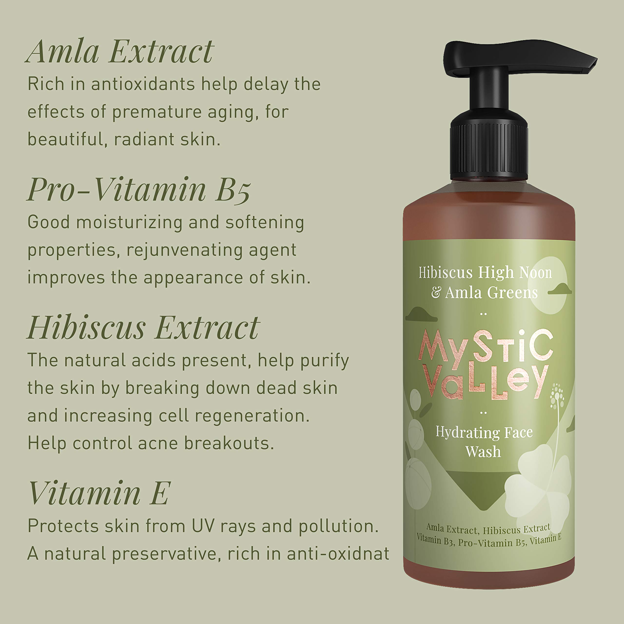 Mystic Valley Hydrating Face Wash for Dry Skin - Gentle Moisturizing Facial Cleanser 200ml - Daily Skincare Routine for Soft & Glowing Skin