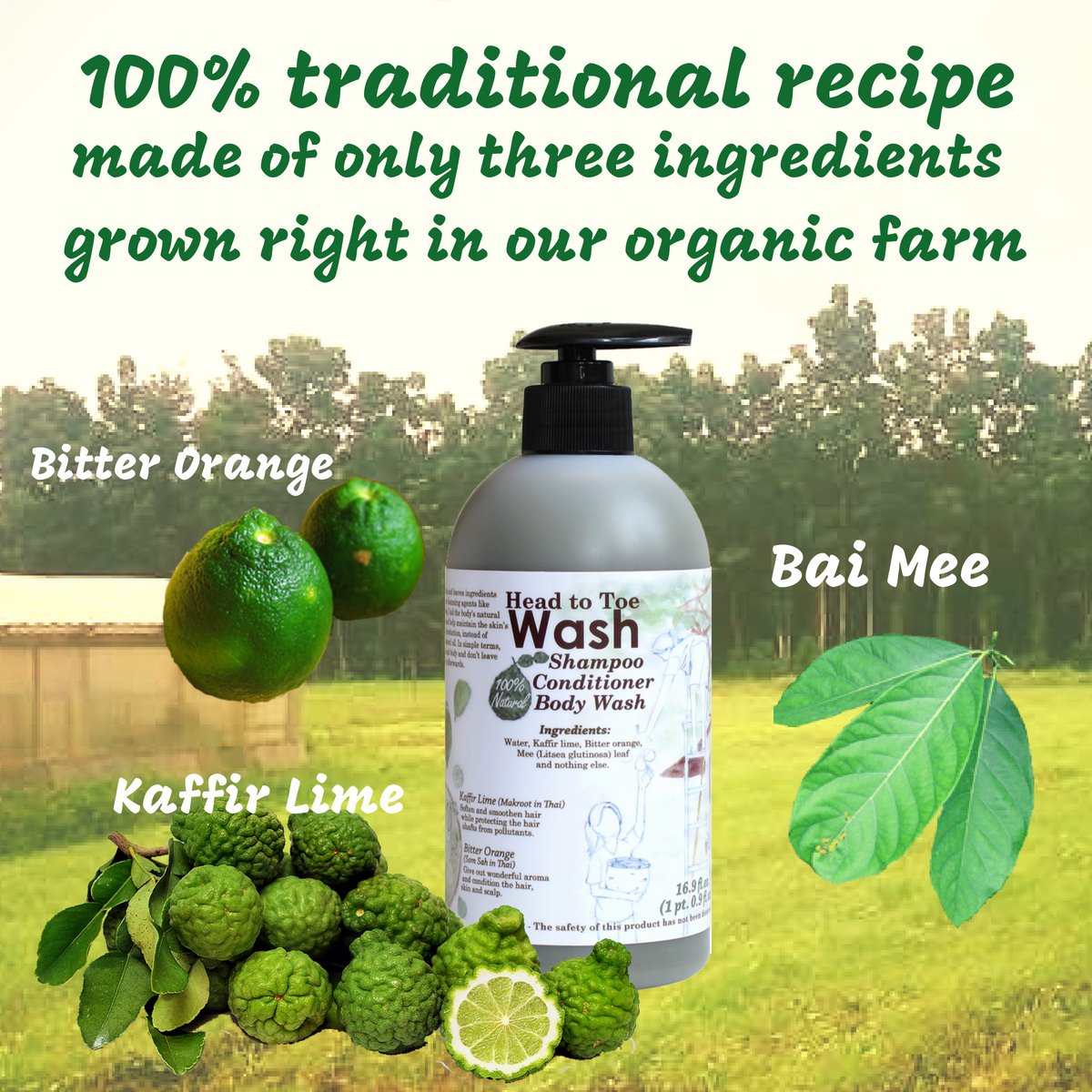 Organic No-Poo Head-to-Toe Wash - Sulfate-Free & Chemical-Free Moisturizing Cleanser for Hair & Body | Plant-Based Sud-Free Formula | Perfect for Sensitive Skin & Eco-Conscious Users | 100ml Tester Size | Ideal for Travel, Gym & Daily Gentle Cleansing