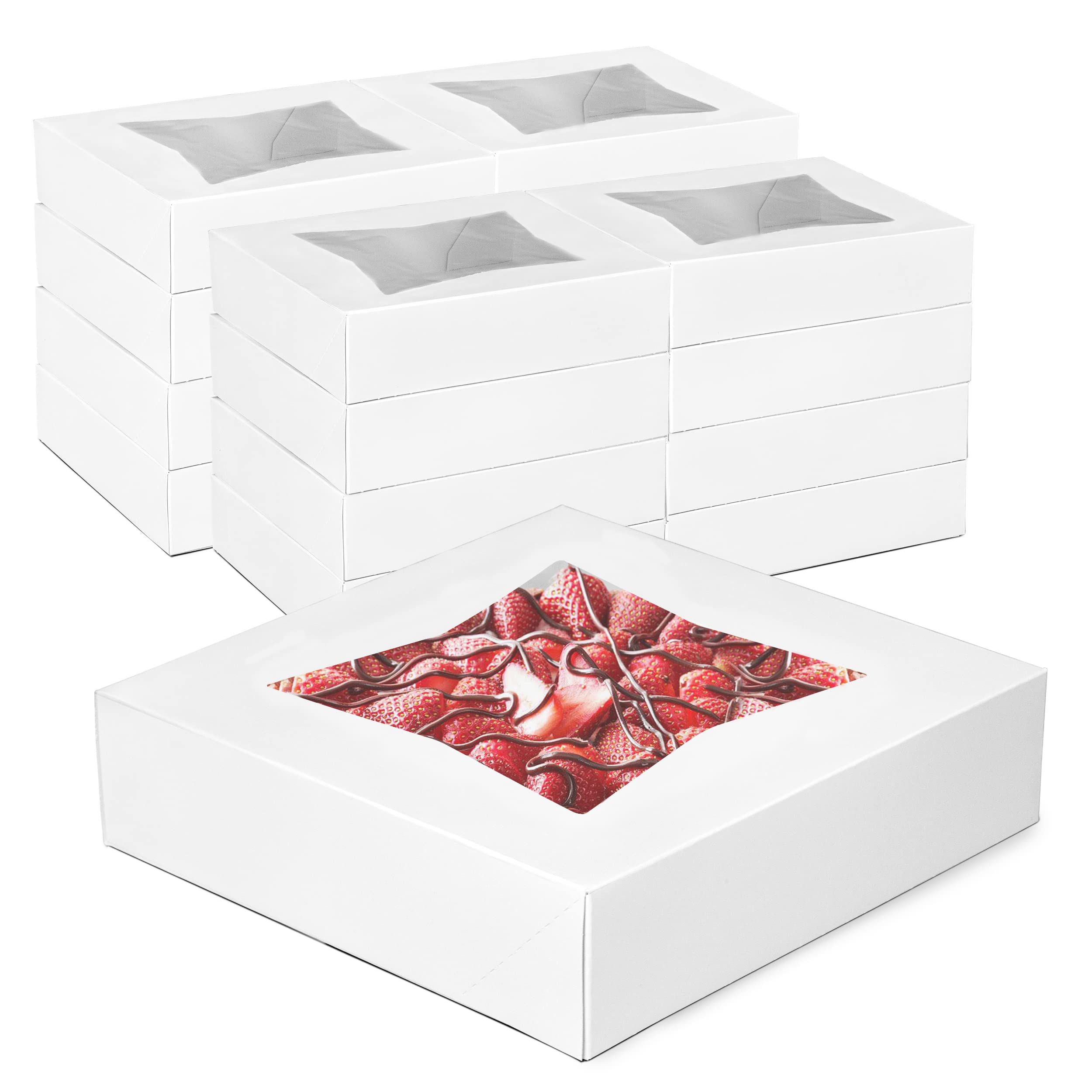[200 Pack] 10x10x2.5