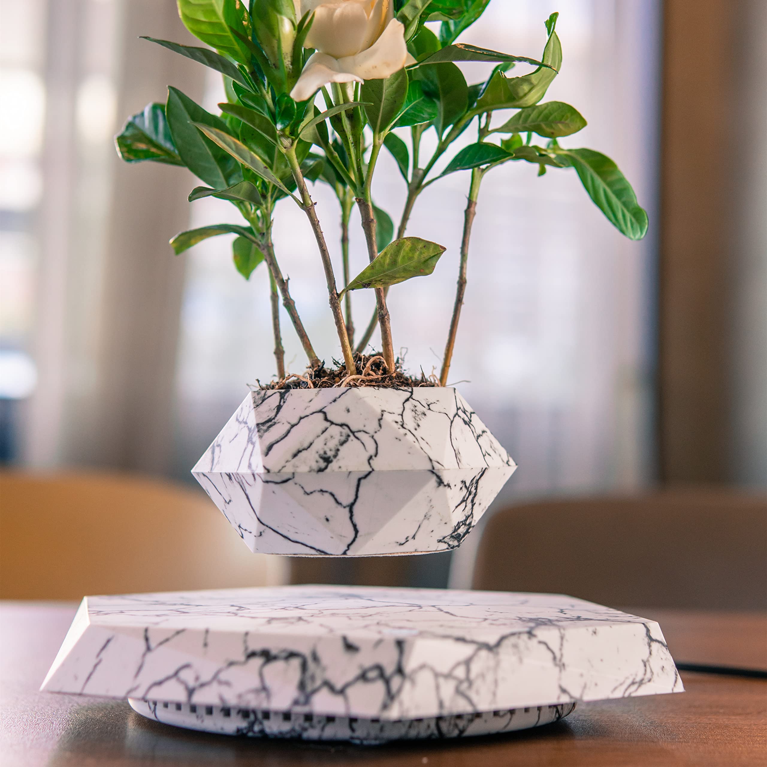 BLUEHAVEN INTERNATIONAL Floating Levitating Rotating Plant Pot - Sparkling White | Unique Bonsai Planter & Home Decor Gift for Indoor Plants, Office Desk, Living Room Decorations
