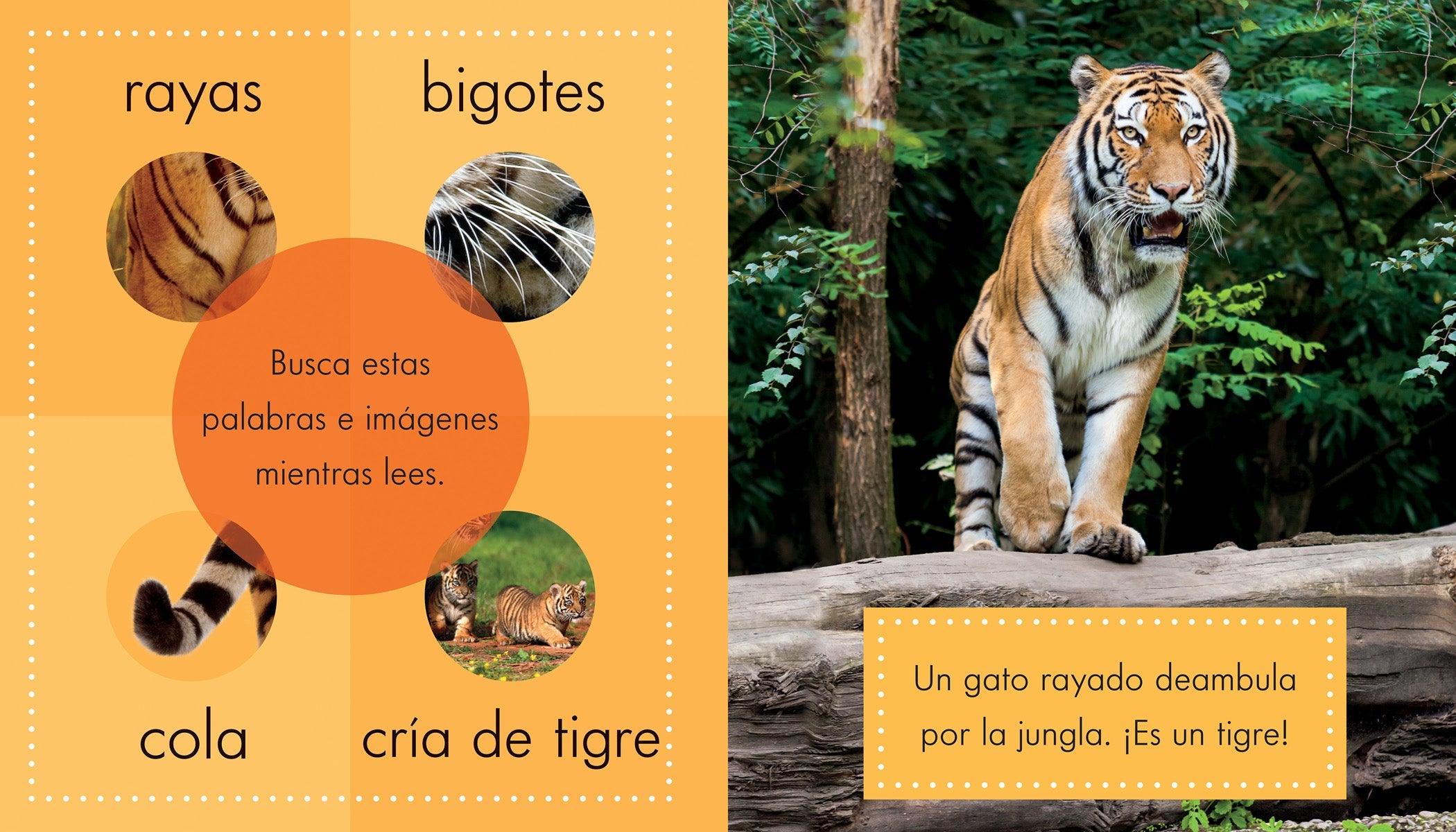 Los Tigres Merchandise - Official Band T-Shirts, Hoodies & Accessories - Perfect for Concerts, Gifts & Fan Collections