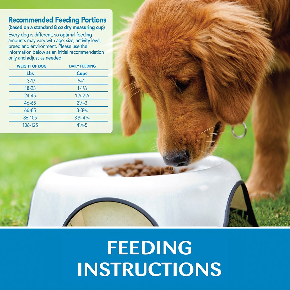 Wellness Simple Natural Limited-Ingredient Grain-Free Dry Dog Food for Small Breeds - Salmon & Potato Recipe (10.5 lb Bag) | Easy Digestible for Sensitive Stomachs, Promotes Healthy Skin & Coat | Perfect for Picky Eaters & Dogs with Food Allergies