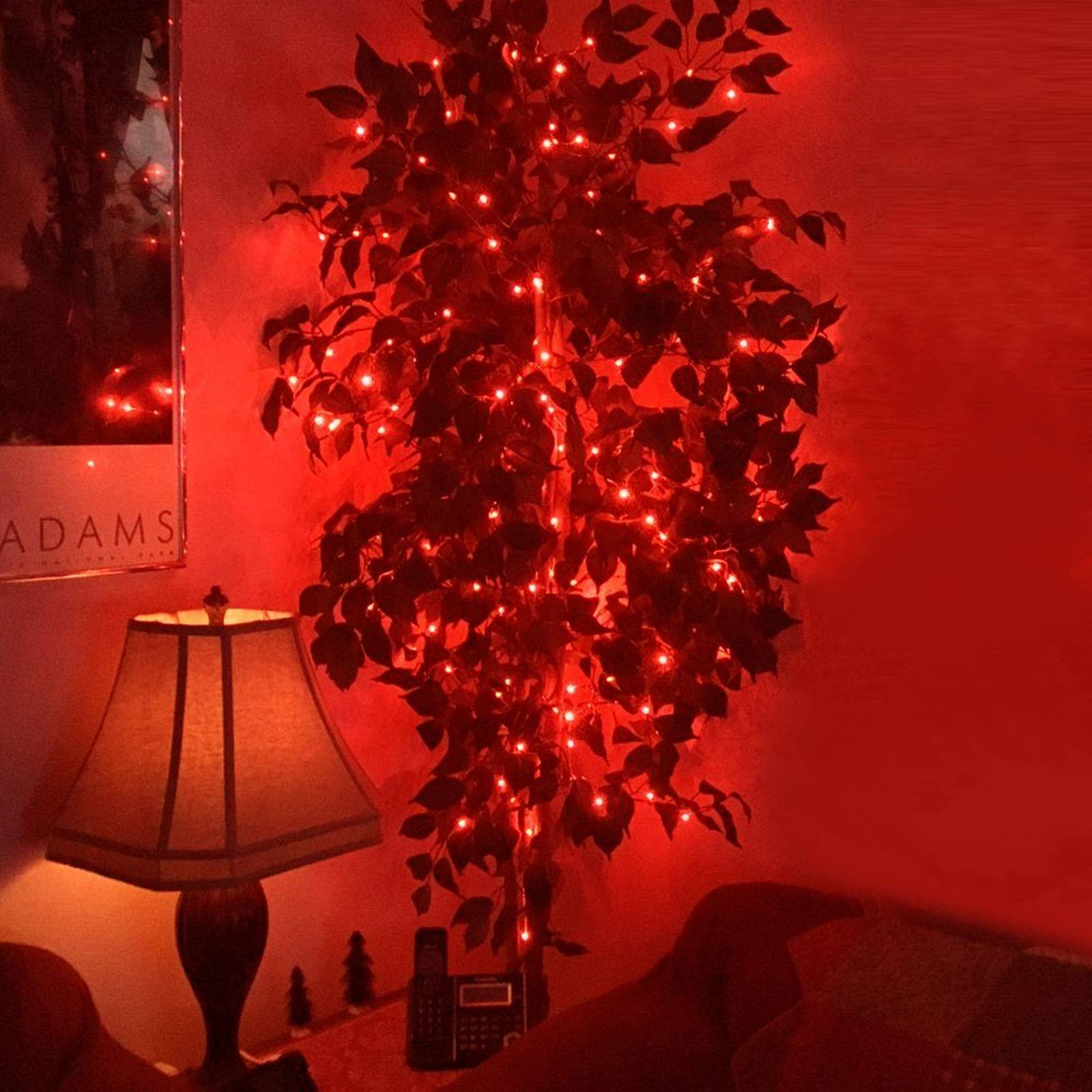 RUICHEN 33Ft 100 LED Dimmable Fairy String Lights with Remote - Waterproof Silver Wire Twinkle Lights for Christmas Decorations, Wedding Party, Bedroom, Patio & Outdoor (Red) - Perfect for Holiday Lighting, Home Decoration and Special Events