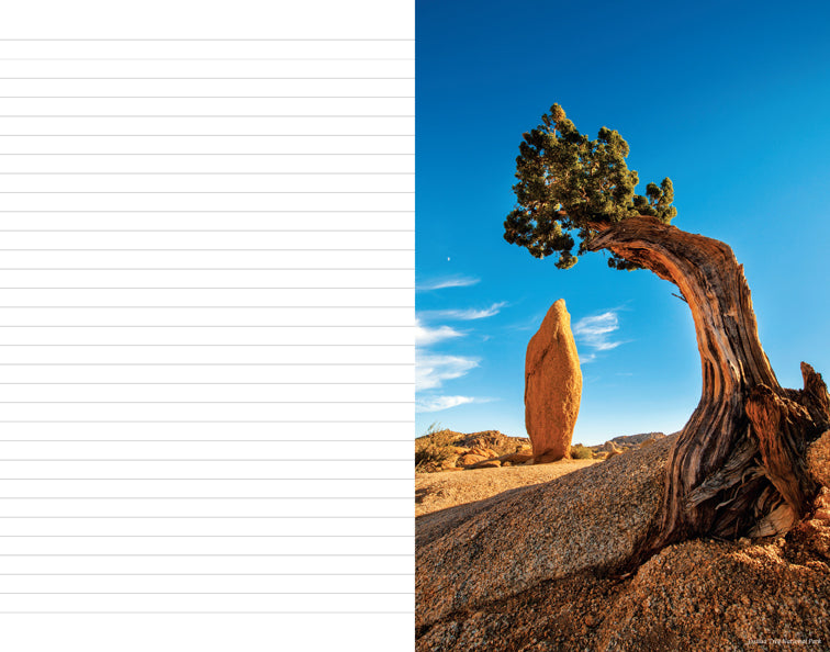 The National Parks: An Inspirational Travel Journal for Hiking, Camping & Outdoor Adventures - Perfect for Nature Lovers & Park Explorers