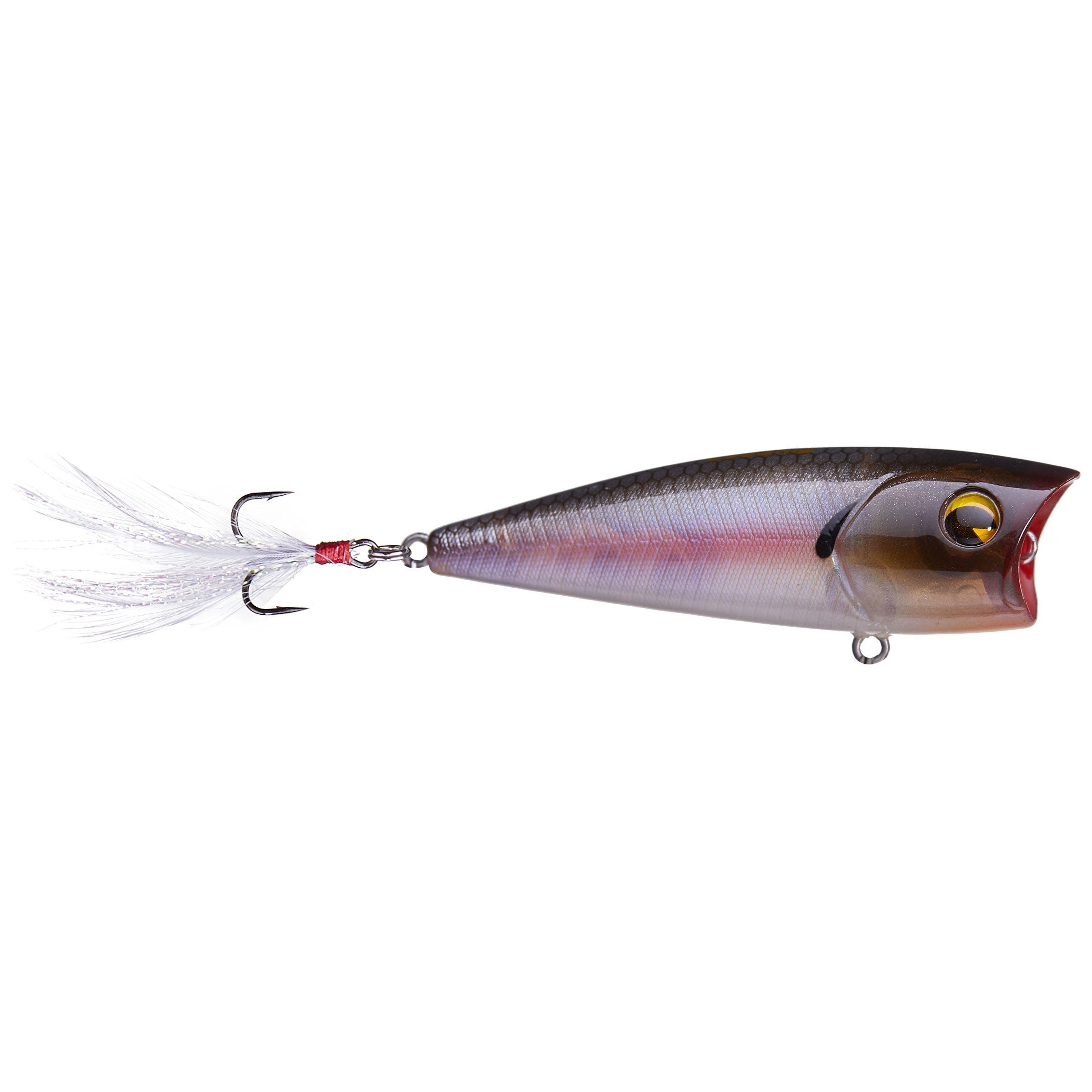 Ima Finesse Popper 65 - Topwater Fishing Lure for Bass, Trout & Saltwater - Perfect for Freshwater & Saltwater Fishing Adventures