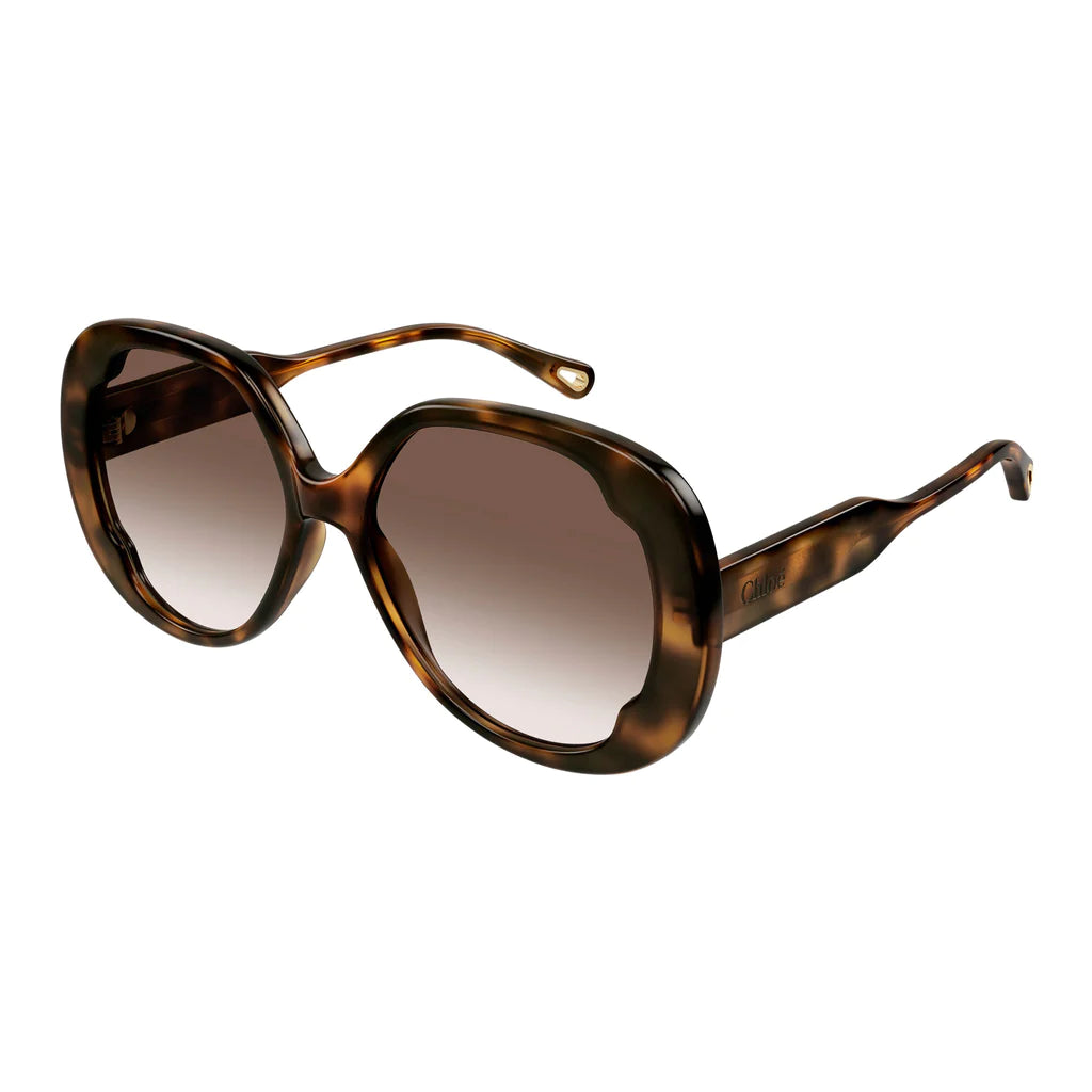HAVANA CH0195S 002 - Premium Fashion Accessory for Women | Perfect for Parties, Vacations & Everyday Style