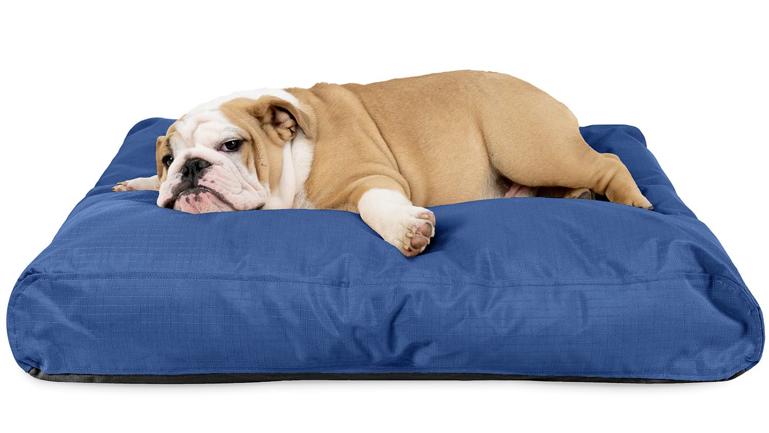 K9 Ballistics Tough Rectangle Pillow Medium Dog Bed 33