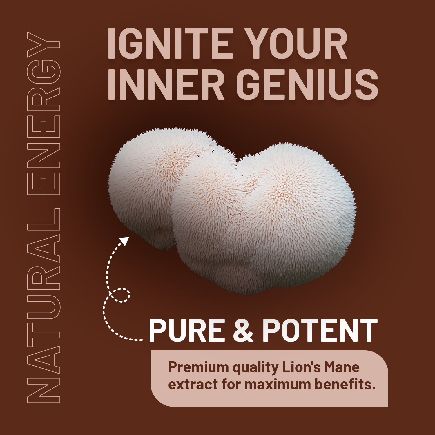 Organic Lions Mane Mushroom Supplement 4000mg with Vitamin B1 B6 B12 & Black Pepper Extract - 180 Vegan Tablets, 50% Polysaccharides for Brain Focus & Memory Support | Super Strength Nootropic for Cognitive Function, Stress Relief & Mental Clarity | UK Made by Prowise | Perfect for Students, Professionals & Seniors