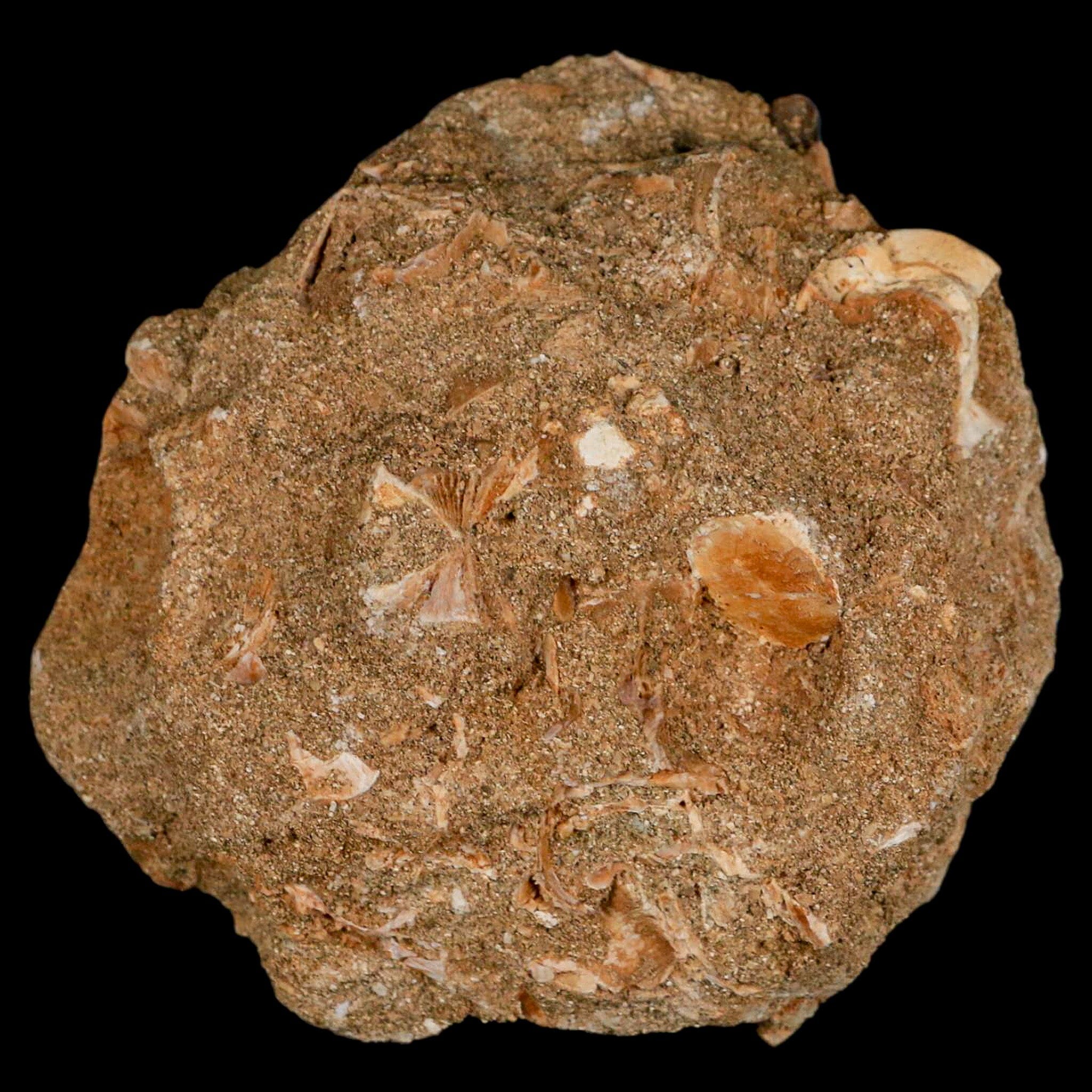 1.9
