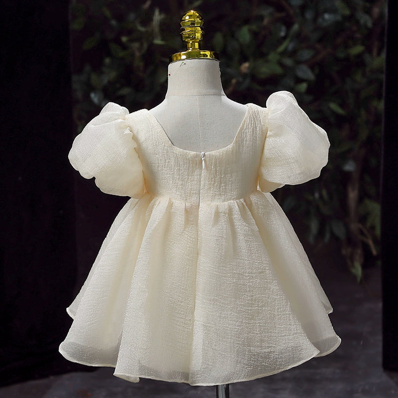 Elegant Baby Birthday Party Dress for Toddlers - Girls' Prom Gown for Special Occasions, Photos & Celebrations