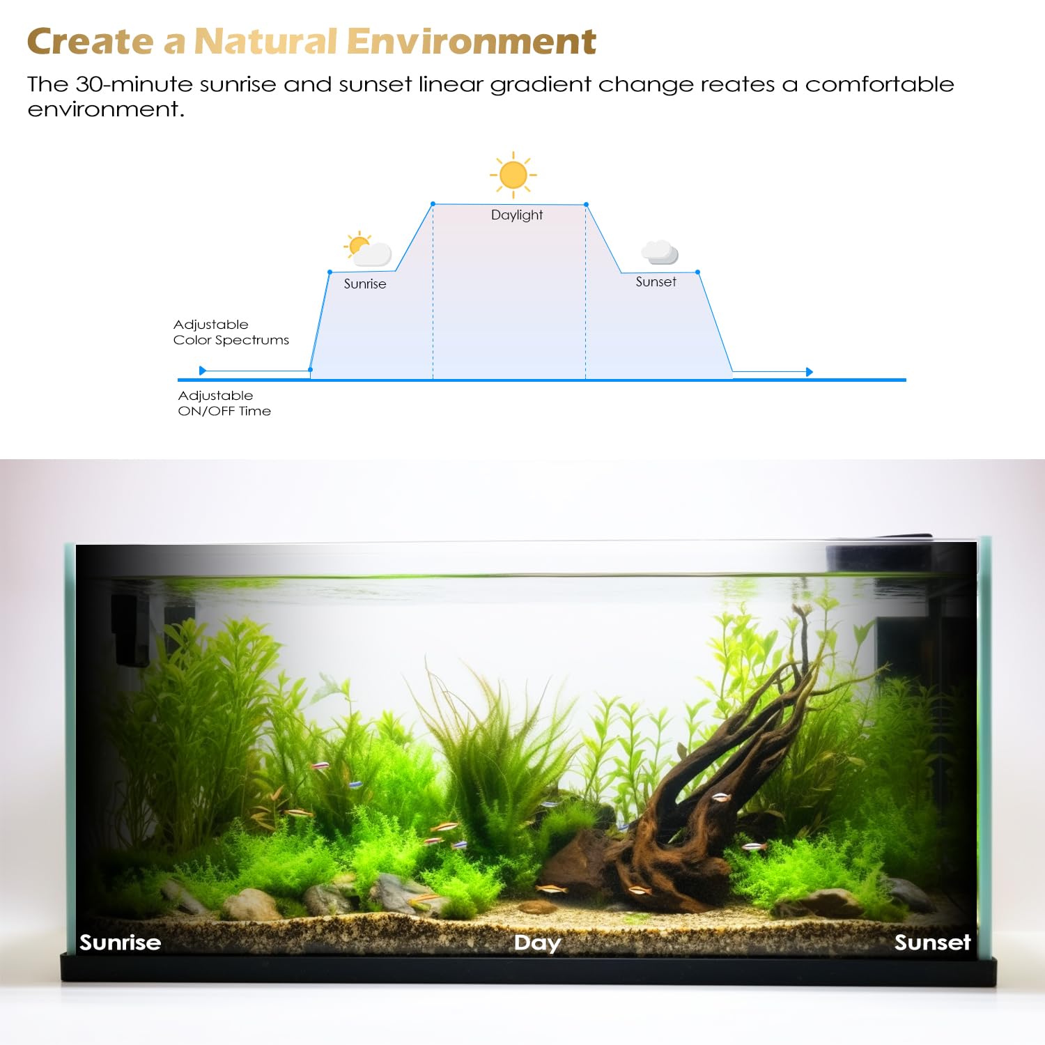 Best LED Aquarium Lights for Plants & Fish - Full Spectrum RGB with 10 Lighting Modes, IP68 Waterproof, Auto Timer On/Off - Perfect for Freshwater & Saltwater Tanks, Coral Reefs & Aquatic Plant Growth
