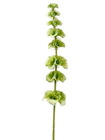 29 Inch Bells of Ireland Artificial Flower Spray in Light Green - Pack of 12 | Wedding Centerpieces, Home Decor, Floral Arrangements