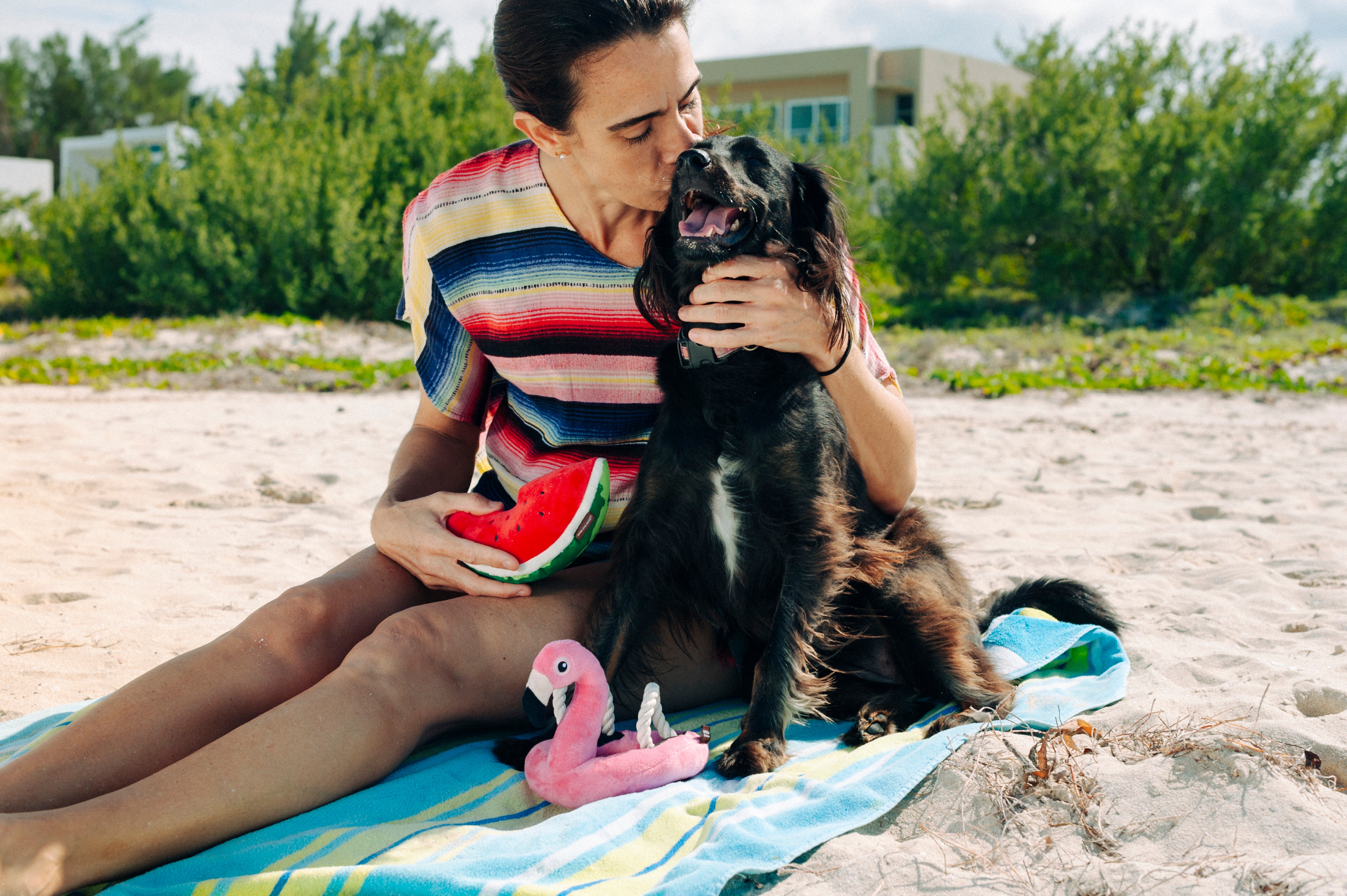 Tropical Paradise™ Watermelon Dog Plush Toy - Durable & Fun Chew Toy for Small & Large Dogs | Perfect for Playtime, Training & Cuddling | Pet P.L.A.Y.