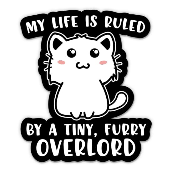 Funny Cat Stickers - 2 Pack Waterproof Vinyl Decals for Car, Phone, Laptop & Water Bottle - Cute Kitty Cat Decor for Pet Lovers - Perfect for Home, Office & School Accessories