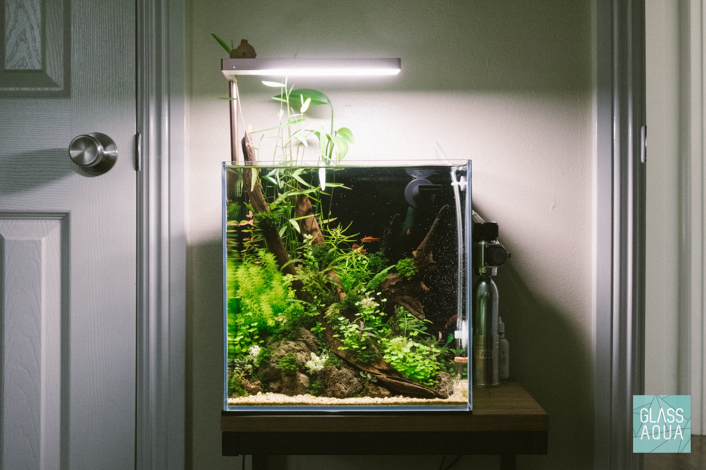 Premium Nano CO2 Kit for Aquarium Plants - Complete CO2 System for Healthy Plant Growth | Ideal for Small to Medium Fish Tanks & Aquatic Gardens