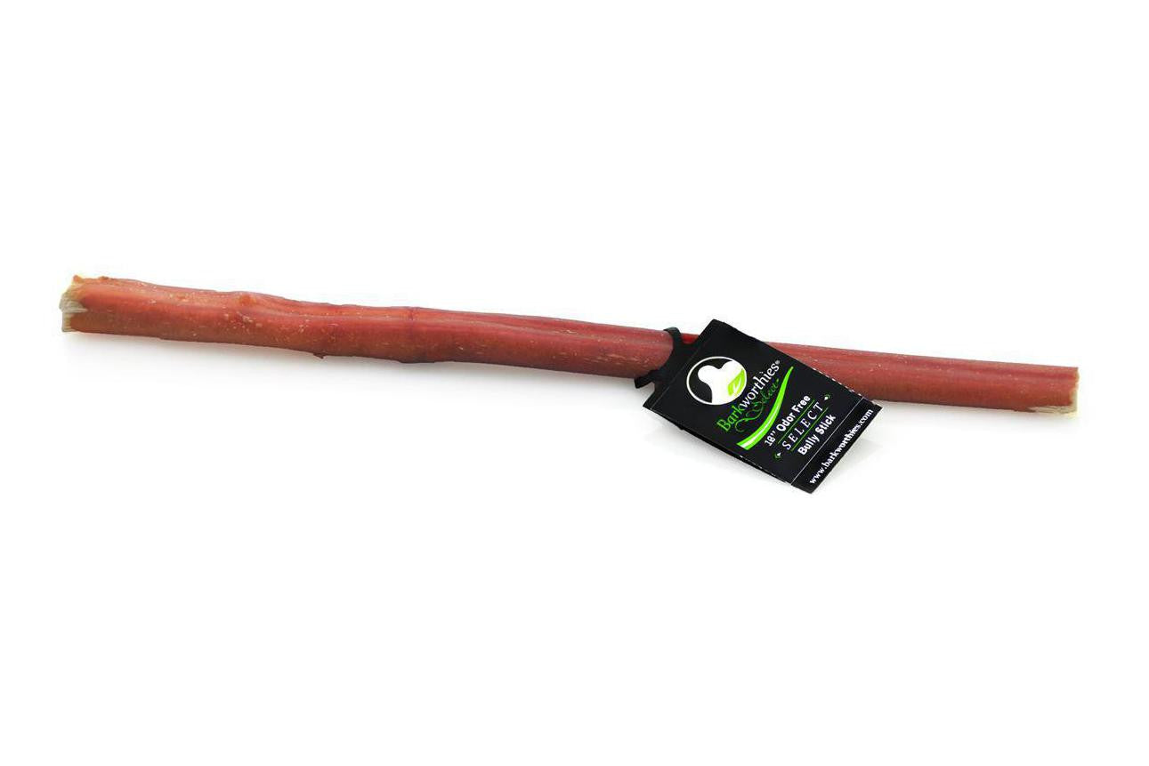 Natural Odor-Free Bully Sticks for Dogs - 12 Inch Premium Chew Treats - Long-Lasting Dental Health & Stress Relief - Perfect for Aggressive Chewers & Training Rewards