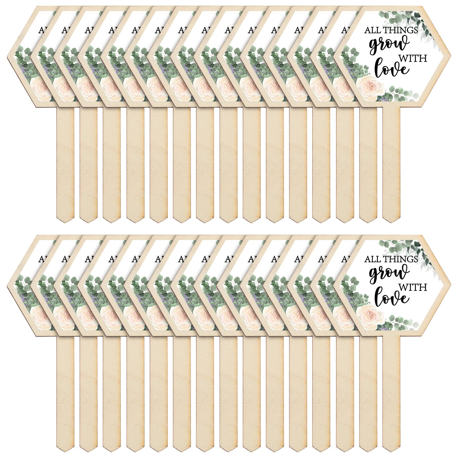 60 Pcs Baby Shower Succulent Favor Tags - Wooden Plant Labels with 