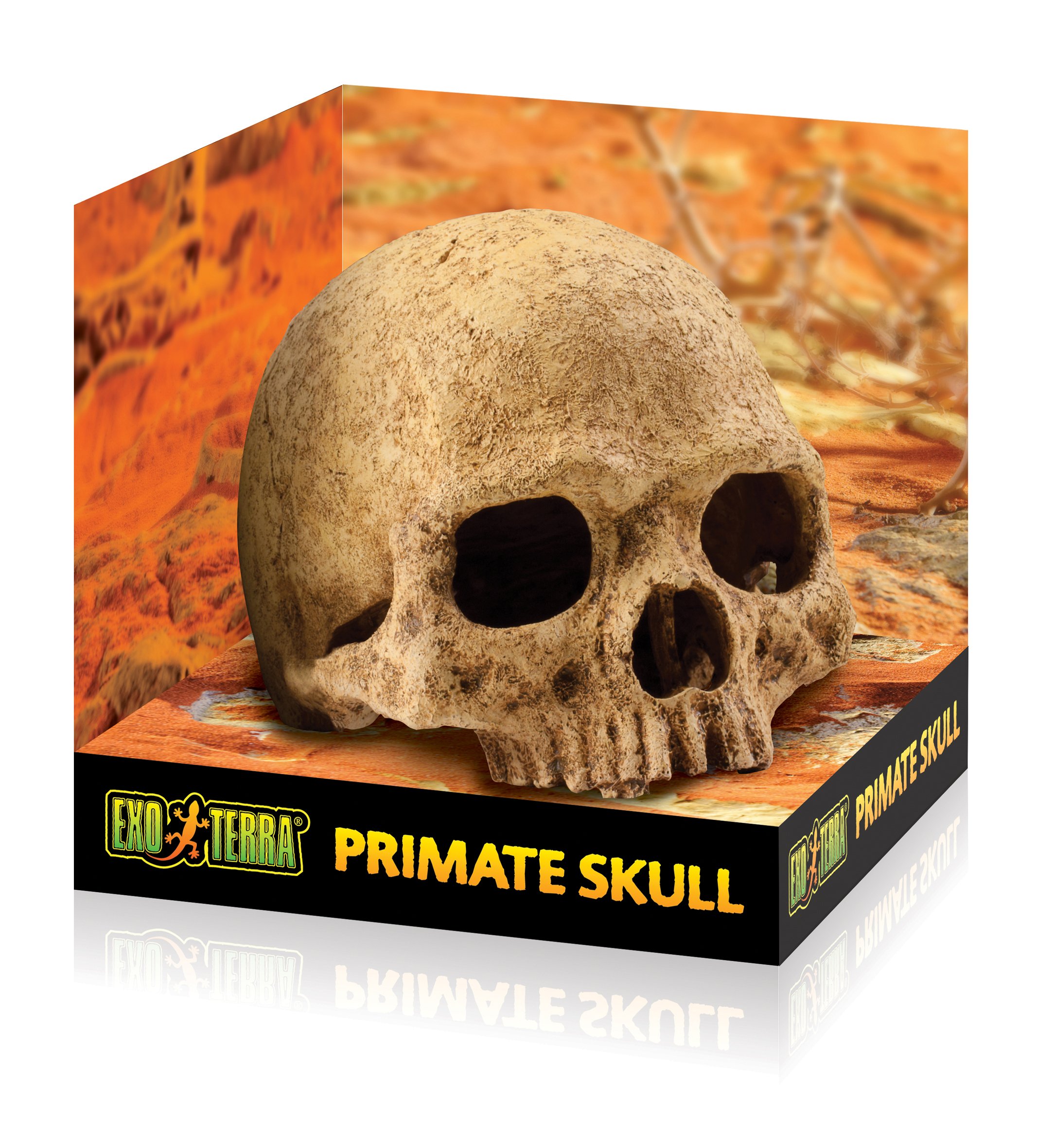 Exo Terra Primate Skull Terrarium Decor - Realistic Reptile Habitat Ornament for Geckos, Snakes & Lizards - Perfect for Jungle, Desert & Gothic Terrarium Themes