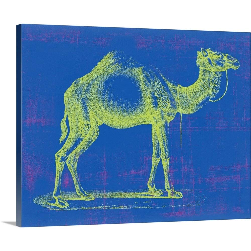 GREATBIGCANVAS Safari Pop III Canvas Wall Art Print - 30