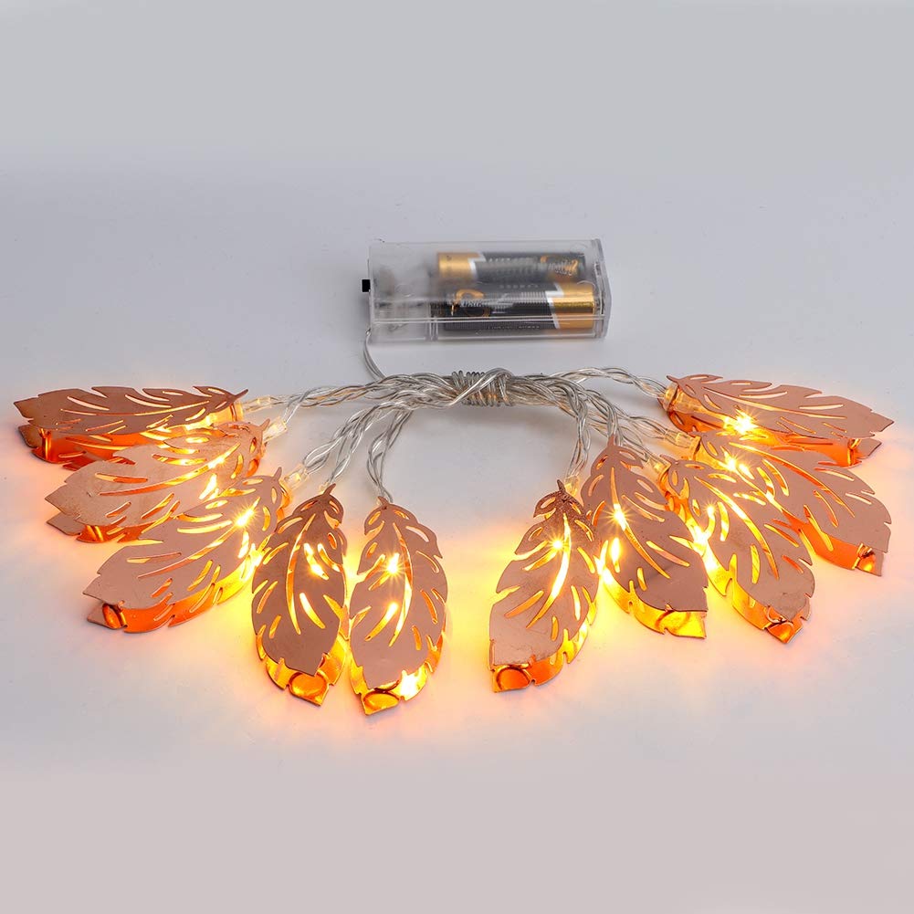 01 LED String Lights - 10 Warm White Fairy Lights, 1.5m Waterproof Outdoor/Indoor Decorative Lighting for Bedroom, Garden, Wedding, Party & Landscape Decor