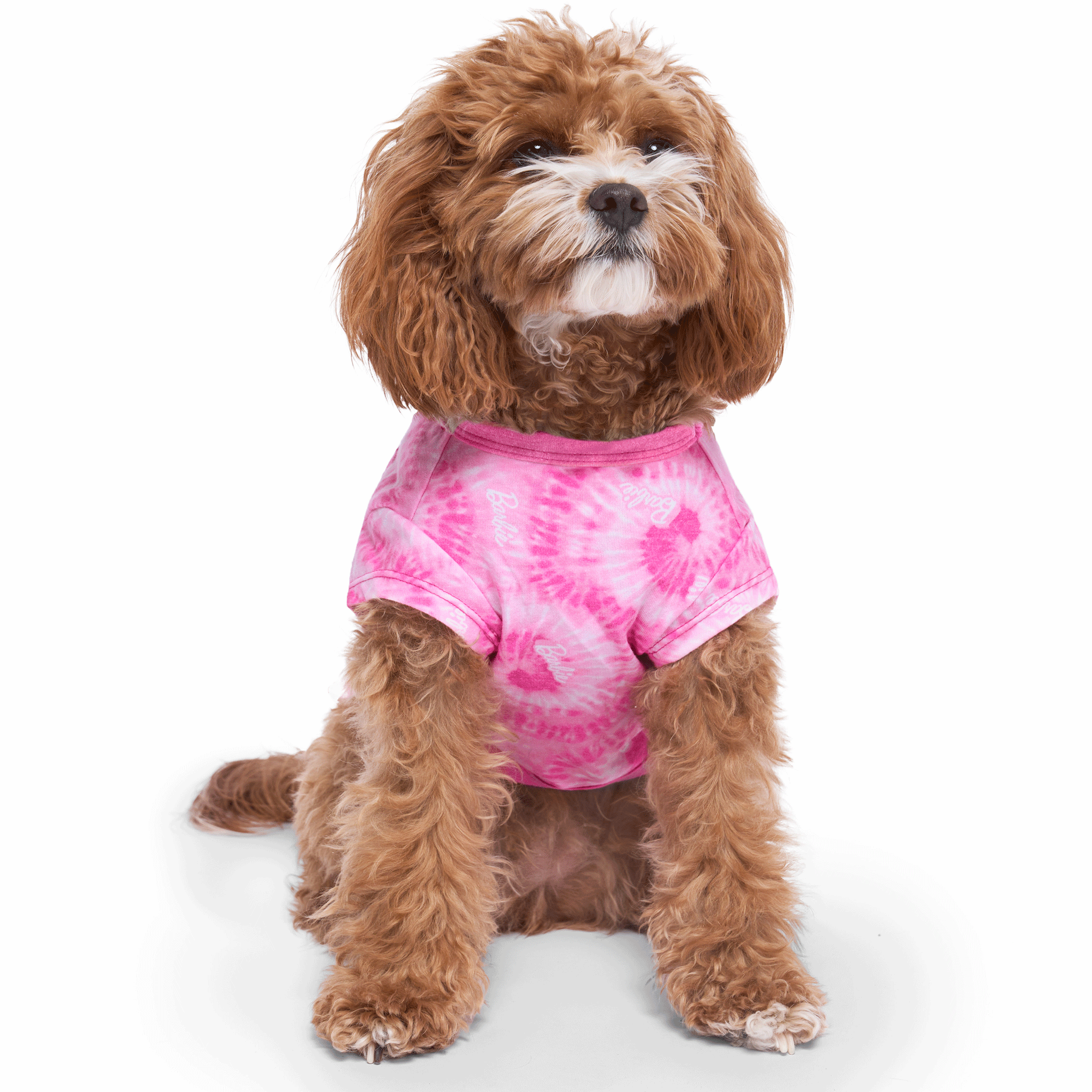 Barbie™ Follow Me Tie Dye T-Shirt - Trendy Graphic Tee for Girls & Women - Perfect for Casual Wear, Parties & Barbie Fan Gifts