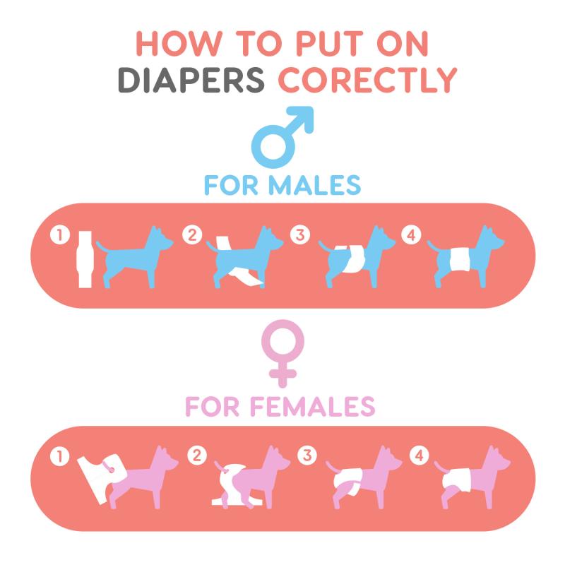 Misoko Washable Dog Diapers for Male Dogs - 3 Pack Reusable Pet Diapers for Incontinence, Training & Travel - Perfect for Holidays, Home & Outdoor Use