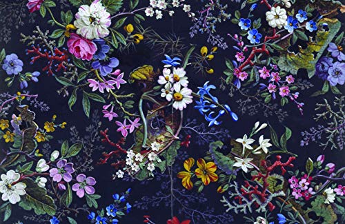 Midnight Blossom