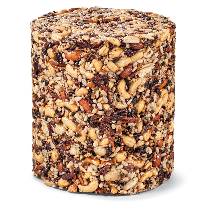 Nutsie Seed Log Jumbo - Premium Bird Food for Wild Birds - Attract Cardinals, Finches & More - Perfect for Backyard Bird Feeders & Garden Wildlife