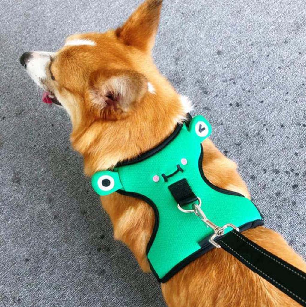 FCHMY No-Pull Dog Harness Vest - Adjustable Soft Padded Chest Harness Leash for Small Dogs - Reflective & Breathable for Walking, Hiking & Outdoor Adventures
