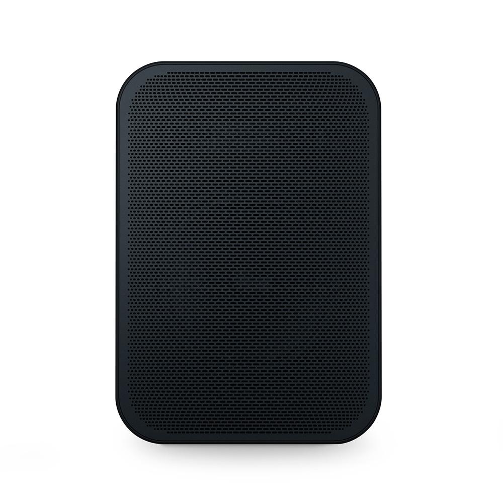 Bluesound Pulse Flex 2i Wireless Streaming Speaker - Hi-Res Audio, Multi-Room, AirPlay 2 & Voice Control - Perfect for Home Theater, Parties & Outdoor Entertainment (Demo Unit Available)
