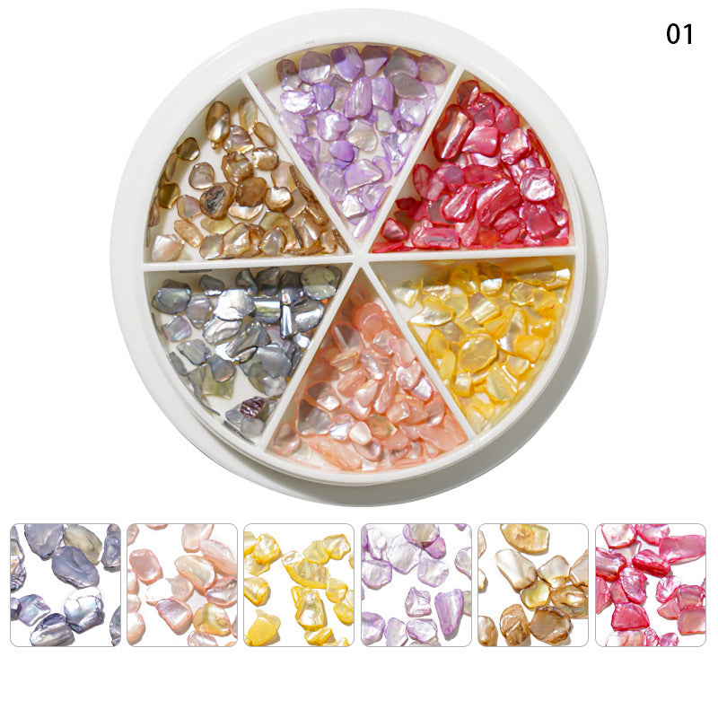 Mixed Shape Resin Shells Decoration Wheels - DIY Craft Supplies for Home Decor, Scrapbooking & Jewelry Making