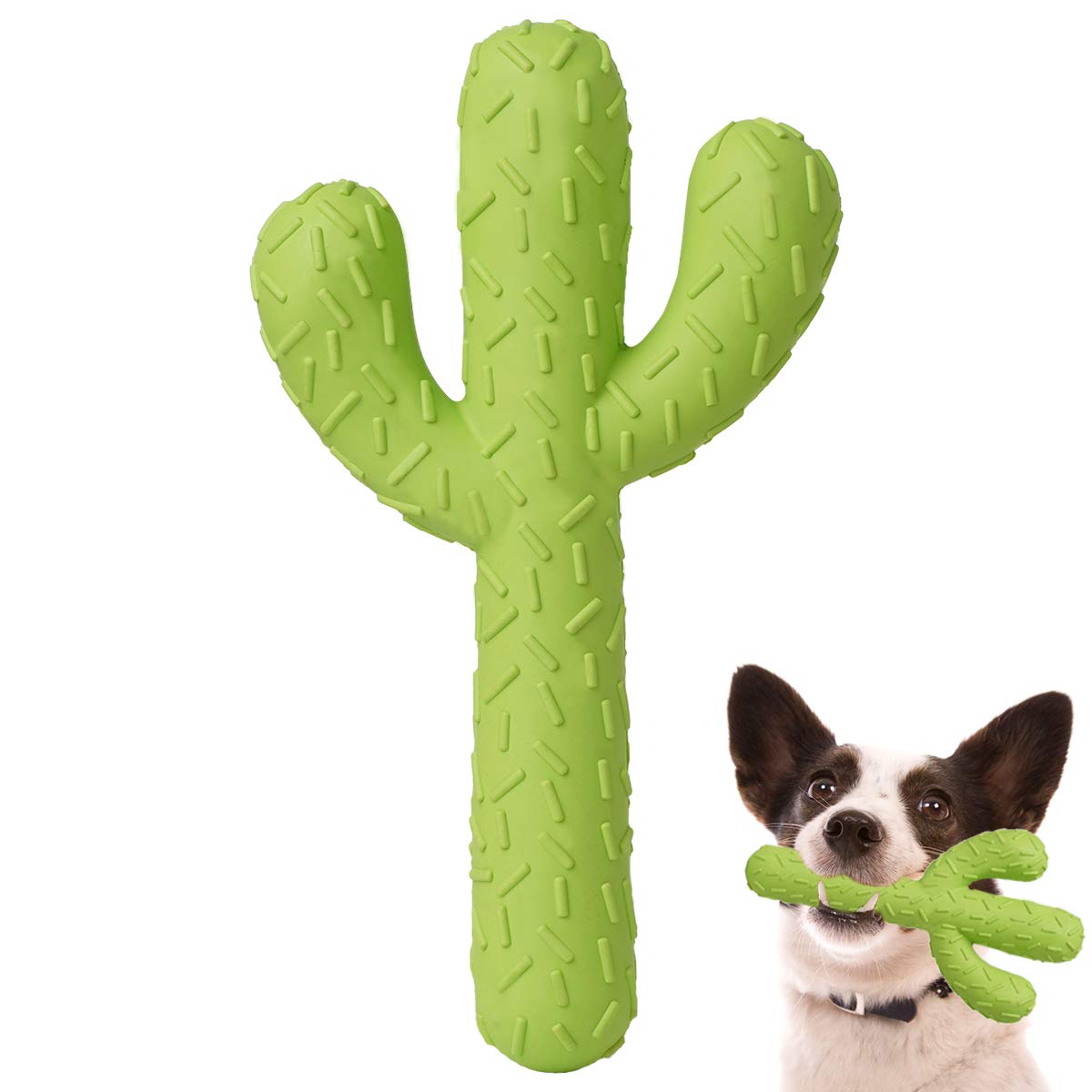 Durable MewaJump Rubber Dog Chew Toys for Aggressive Chewers - Tough Cactus-Shaped Puppy Toys for Teeth Cleaning & Training - Interactive Chew Toys for Small & Medium Dogs - Perfect for Playtime, Dental Care & Obedience Training