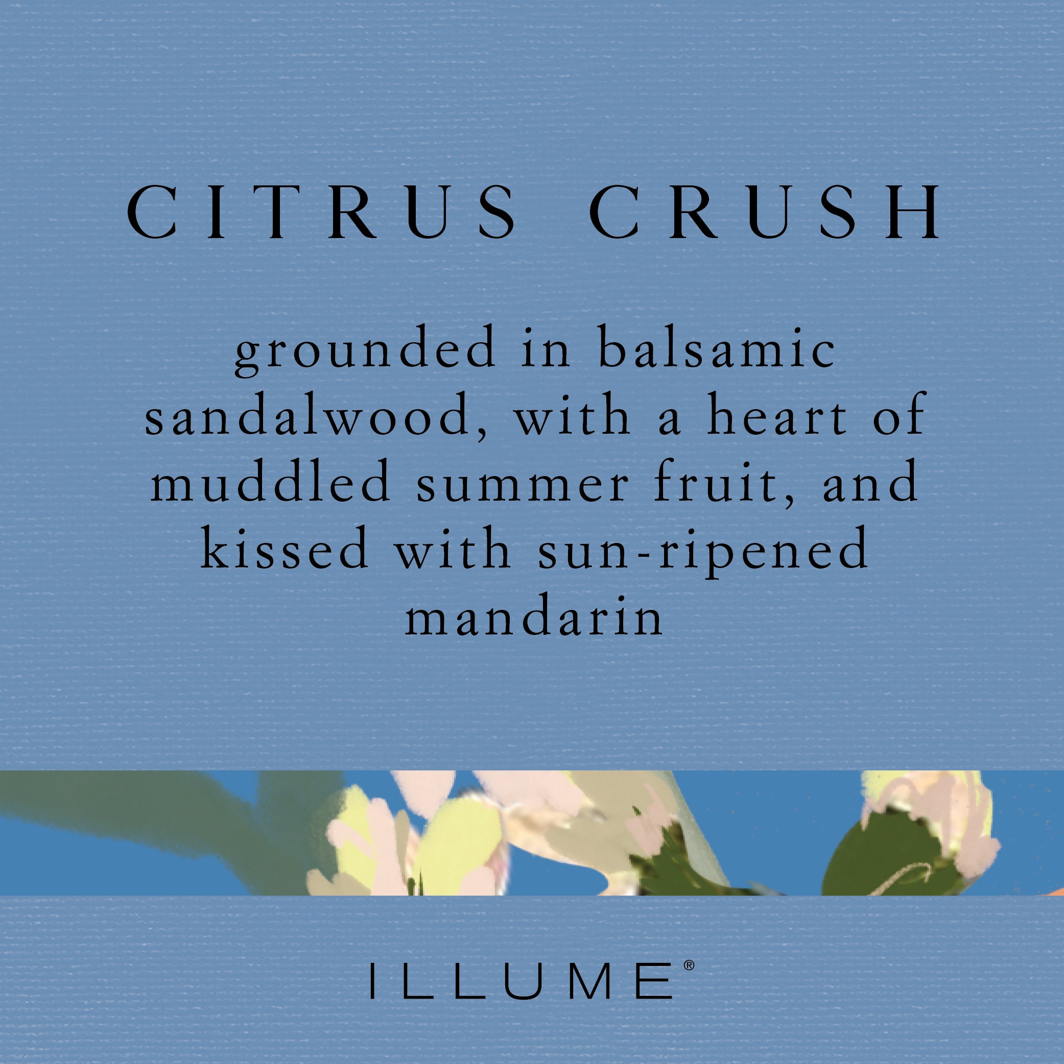 Citrus Crush Vanity Tin Candle - Refreshing Scented Soy Wax Candle for Home & Bathroom Decor | Perfect for Relaxation, Gifts & Aromatherapy