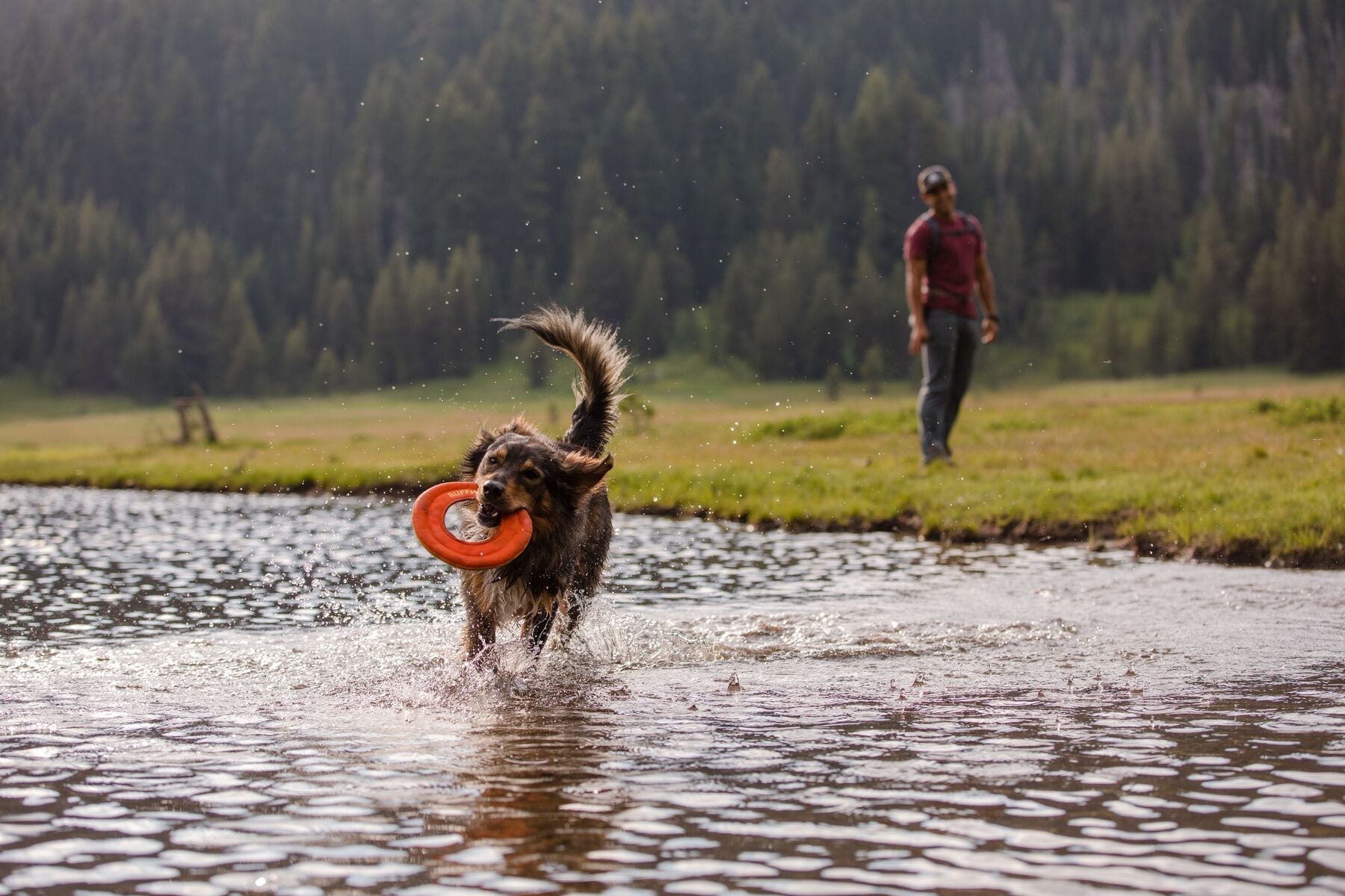 Ruffwear Hydro Plane™ Floating Dog Disc Toy - Tangelo Orange, Waterproof & Durable for Pool, Beach & Outdoor Play - Perfect for Fetch Games with Dogs