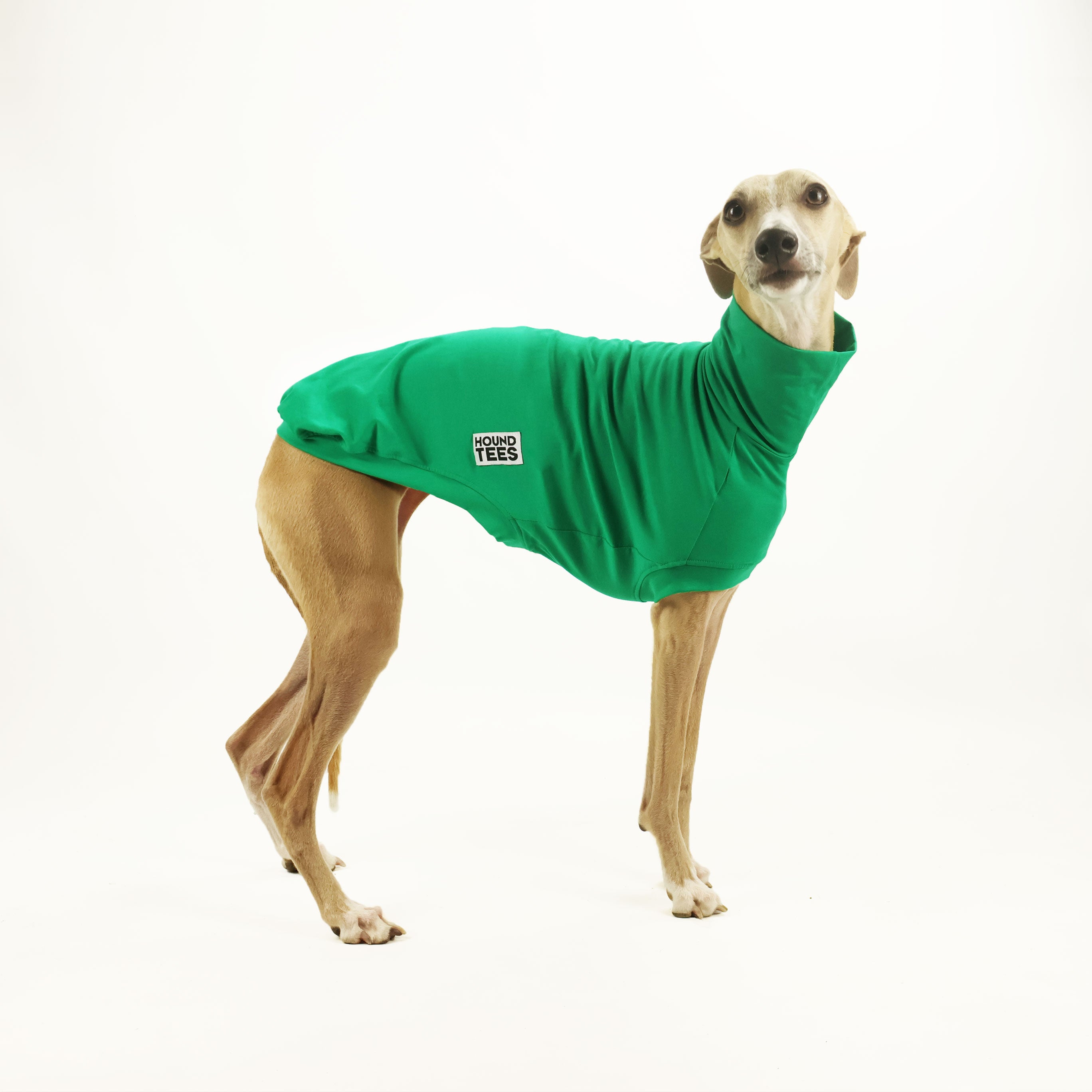 Whippet Sleeveless Base Layer for Men & Women - Lightweight Thermal Undershirt for Running, Hiking & Outdoor Activities