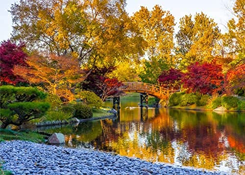 Puzelworx 1000 Piece Jigsaw Puzzle - Educational Family Game for Adults & Kids, Autumn Themed - Perfect for Family Bonding, Stress Relief & Cognitive Development