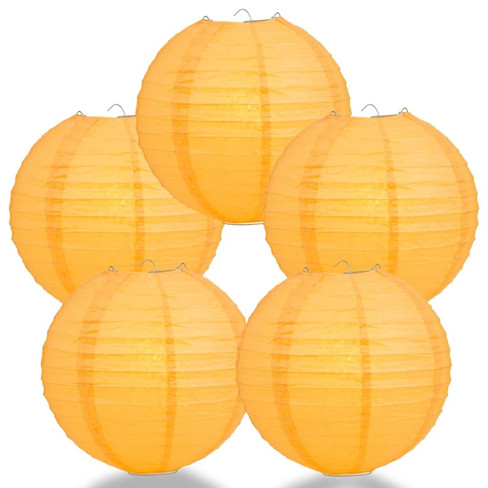 5 Pack 20
