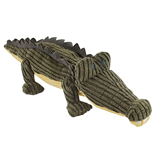Crocodile