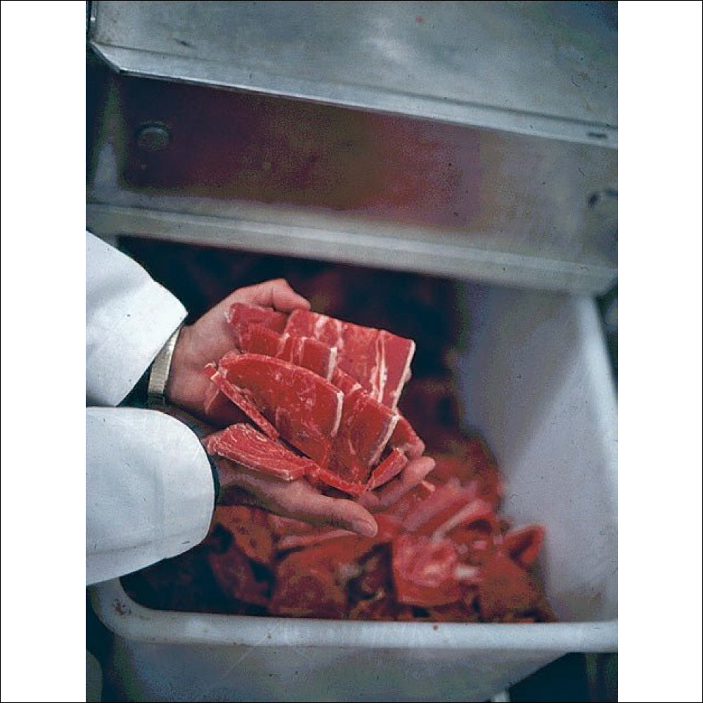 Biro Model FBC 4800SS Commercial Frozen Block Chipper - Heavy Duty Meat Grinder for Butcher Shops, Restaurants & Food Processing
